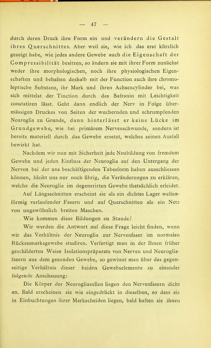 durch deren Druck ihre Form ein und verändern die Gestalt ihres Querschnittes. Aber weil sie, wie ich das erst kürzlich gezeigt habe, wie jedes andere Gewebe auch die Eigenschaft der Compressibilität besitzen, so ändern sie mit ihrer Form zunächst weder ihre morphologischen, noch ihre physiologischen Eigen- schaften und behalten deshalb mit der Function auch ihre chromo- leptische Substanz, ihr Mark und ihren Achsencylinder bei, was sich mittelst der Tinction durch das Safranin mit Leichtigkeit constatiren lässt. Geht dann endlich der Nerv in Folge über- mässigen Druckes von Seiten der wuchernden und schrumpfenden Neuroglia zu Grunde, dann hinterlässt er keine Lücke im Grundgewebe, wie bei primärem Nervenschwunde, sondern ist bereits materiell durch das Gewebe ersetzt, welches seinen Ausfall bewirkt hat. Nachdem wir nun mit Sicherheit jede Neubildung von fremdem Gewebe und jeden Einfluss der Neuroglia auf den Untergang der Nerven bei der uns beschäftigenden Tabesform haben ausschliessen können, bleibt uns nur noch übrig, die Veränderungen zu erklären, welche die Neuroglia im degenerirten Gewebe thatsächlich erleidet. Auf Längsschnitten erscheint sie als ein dichtes Lager wellen- förmig verlaufender Fasern und auf Querschnitten als ein Netz von ungewöhnlich breiten Maschen. Wie kommen diese Bildungen zu Stande? Wir werden die Antwort auf diese Frage leicht finden, wenn wir das Verhältnis der Neuroglia zur Nervenfaser im normalen Rückenmarksgewebe studiren. Verfertigt man in der Ihnen früher geschilderten Weise Isolationspräparate von Nerven und Neuroglia- fasern aus dem gesunden Gewebe, so gewinnt man über das gegen- seitige Verhältnis dieser beiden Gewebselemente zu einander folgende Anschauung: Die Körper der Neurogliazellen liegen den Nervenfasern dicht an. Bald erscheinen sie wie eingedrückt in dieselben, so dass sie in Einbuchtungen ihrer Markscheiden liegen, bald haften sie ihnen