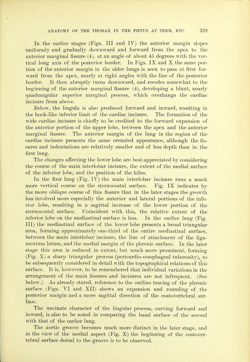 In the earlier stages (Figs. Ill and IV) the anterior margin slopes uniformly and gradually downward and forward from the apex to the anterior marginal fissure (4), at an angle of about 45 degrees with the ver- tical long axis of the posterior border. In Figs. IX and X the same por- tion of the anterior margin in the older lungs is seen to pass at first for- ward from the apex, nearly at right angles with the line of the posterior border. It then abruptly turns downward, and recedes somewhat to the beginning of the anterior marginal fissure (4), developing a blunt, nearly quadrangular superior marginal process, which overhangs the cardiac incisure from above. Below, the lingula is also produced forward and inward, resulting in the hook-like inferior limit of the cardiac incisure. The formation of the wide cardiac incisure is chiefly to be credited to the forward expansion of the anterior portion of the upper lobe, between the apex and the anterior marginal fissure. The anterior margin of the lung in the region of the cardiac incisure presents the same crenated appearance, although the fis- sures and indentations are relatively smaller and of less depth than in the first lung. The changes affecting the lower lobe are best appreciated by considering the course of the main interlobar incisure, the extent of the medial surface of the inferior lobe, and the position of the hilus. In the first lung (Fig. IV) the main interlobar incisure runs a much more vertical course on the sternocostal surface. Fig. IX indicates by the more oblique course of this fissure that in the later stages the growth has involved more especially the anterior and lateral portions of the infe- rior lobe, resulting in a sagittal increase of the lower portion of the sternocostal surface. Coincident with this, the relative extent of the inferior lobe on the mediastinal surface is less. In the earlier lung (Fig. Ill) the mediastinal surface of the lower lobe presents a broad triangular area, forming approximately one-third of the entire mediastinal surface, between the main interlobar incisure, the line of attachment of the Hera- mentum latum, and the medial margin of the phrenic surface. In the later stage this area is reduced in extent, but much more prominent, forming (Fig. X) a sharp triangular process (pericardio-oesophageal tuberosity), to be subsequently considered in detail with the topographical relations of this surface. It is, however, to be remembered that individual variations in the arrangement of the main fissures and incisures are not infrequent. (See below.) As already stated, reference to the outline tracing of the phrenic surface (Figs. YI and XII) shows an expansion and rounding of the posterior margin and a more sagittal direction of the costovertebral sur- face. The uncinate character of the lingular process, curving forward and inward, is also to be noted in comparing the basal surface of the second with that of the earlier lung. The aortic groove becomes much more distinct in the later stage, and in the view of the medial aspect (Fig. X) the beginning of the costover- tebral surface dorsal to the groove is to be observed.