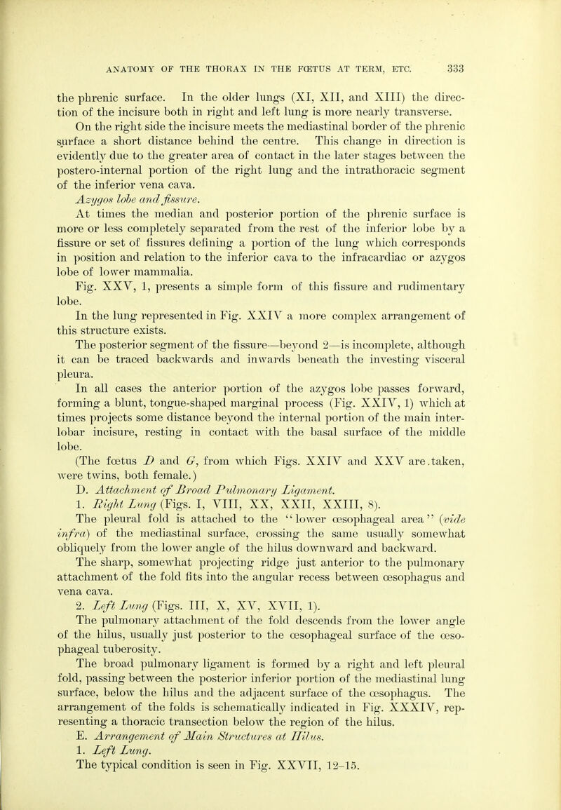 the phrenic surface. In the older lungs (XI, XII, and XIII) the direc- tion of the incisure both in right and left lung is more nearly transverse. On the right side the incisure meets the mediastinal border of the phrenic surface a short distance behind the centre. This change in direction is evidently due to the greater area of contact in the later stages between the postero-internal portion of the right lung and the intrathoracic segment of the inferior vena cava. Azygos lobe and fissure. At times the median and posterior portion of the phrenic surface is more or less completely separated from the rest of the inferior lobe by a fissure or set of fissures defining a portion of the lung which corresponds in position and relation to the inferior cava to the infracardiac or azygos lobe of lower mammalia. Fig. XXV, 1, presents a simple form of this fissure and rudimentary lobe. In the lung represented in Fig. XXIY a more complex arrangement of this structure exists. The posterior segment of the fissure—bej^ond 2—is incomplete, although it can be traced backwards and inwards beneath the investing visceral pleura. In all cases the anterior portion of the azygos lobe passes forward, forming a blunt, tongue-shaped marginal process (Fig. XXIY, 1) which at times projects some distance beyond the internal portion of the main inter- lobar incisure, resting in contact with the basal surface of the middle lobe. (The foetus D and G, from which Figs. XXIY and XXY are.taken, Avere twins, both female.) D. Attachment of Broad Pulmonary Ligament. 1. Bight Lung (Figs. I, VIII, XX, XXII, XXIII, 8). The pleural fold is attached to the lower oesophageal area {vide infra) of the mediastinal surface, crossing the same usually somewhat obliquely from the lower angle of the hilus downward and backward. The sharp, somewhat projecting ridge just anterior to the pulmonary attachment of the fold fits into the angular recess between oesophagus and vena cava. 2. Left Lung (Figs. Ill, X, XV, XVII, 1). The pulmonary attachment of the fold descends from the lower angle of the hilus, usually just posterior to the oesophageal surface of the oeso- phageal tuberosity. The broad pulmonary ligament is formed by a right and left pleural fold, passing between the posterior inferior portion of the mediastinal lung surface, below the hilus and the adjacent surface of the oesophagus. The arrangement of the folds is schematically indicated in Fig. XXXIV, rep- resenting a thoracic transection below the region of the hilus. E. Arrangement of Main Structures at Hilus. 1. Left Lung. The typical condition is seen in Fig. XXVII, 12-15.