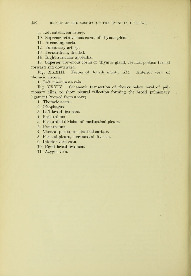 9. Left subclavian artery. 10. Superior retrovenous coruu of thymus gland. 11. Ascending aorta. 12. Pulmonary artery. 13. Pericardium, divided. 14. Pight auricular appendix. 15. Superior prevenous cornu of thymus gland, cervical portion turned forward and downward. Fig. XXXIII. Foetus of fourth month (H). Anterior view of thoracic viscera. 1. Left innominate vein. Fig. XXXIV. Schematic transection of thorax below level of pul- monary hilus, to show pleural reflection forming the broad pulmonary ligament (viewed from above). 1. Thoracic aorta. 2. (Esophagus. 3. Left broad ligament. 4. Pericardium. 5. Pericardial division of mediastinal pleura. 6. Pericardium. 7. Visceral pleura, mediastinal surface. 8. Parietal pleura, sternocostal division. 9. Inferior vena cava. 10. Right broad ligament. 11. Azygos vein.