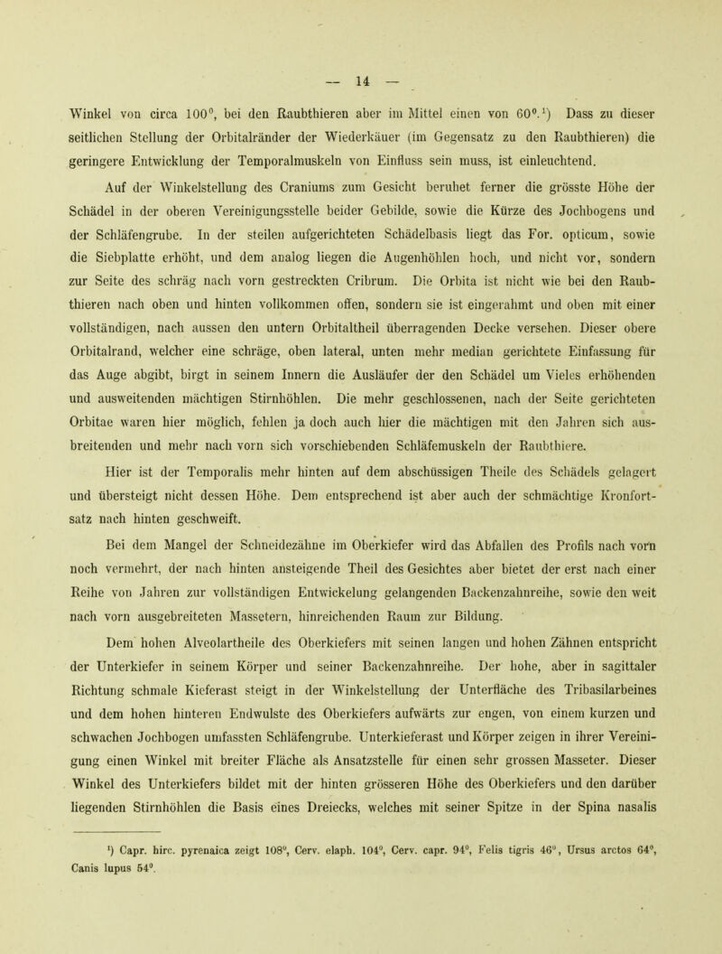 Winkel von circa 100, bei den ßaubthieren aber im Mittel einen von 60. ^j Dass zn dieser seitlichen Stellung der Orbitalränder der Wiederkäuer (im Gegensatz zu den Raubthieren) die geringere Entwicklung der Temporalmuskeln von Einfluss sein muss, ist einleuchtend. Auf der Winkelstellung des Craniums zum Gesicht beruhet ferner die grösste Höhe der Schädel in der oberen Vereinigungsstelle beider Gebilde, sowie die Kürze des Jochbogens und der Schläfengrube. In der steilen aufgerichteten Schädelbasis hegt das For. opticum, sowie die Siebplatte erhöht, und dem analog liegen die Augenhöhlen hoch, und nicht vor, sondern zur Seite des schräg nach vorn gestreckten Cribrum. Die Orbita ist nicht wie bei den Raub- thieren nach oben und hinten vollkommen offen, sondern sie ist eingerahmt und oben mit einer vollständigen, nach aussen den untern Orbitaltheil überragenden Decke versehen. Dieser obere Orbitalrand, welcher eine schräge, oben lateral, unten mehr median gerichtete Einfassung für das Auge abgibt, birgt in seinem Innern die Ausläufer der den Schädel um Vieles erhöhenden und ausweitenden mächtigen Stirnhöhlen, Die mehr geschlossenen, nach der Seite gerichteten Orbitae waren hier möglich, fehlen ja doch auch hier die mächtigen mit den Jahren sich aus- breitenden und mehr nach vorn sich vorschiebenden Schläfemuskeln der Raubthiere. Hier ist der Temporahs mehr hinten auf dem abschüssigen Theile des Schädels gelagert und tibersteigt nicht dessen Höhe. Dem entsprechend ist aber auch der schmächtige Kronfort- satz nach hinten geschweift. Bei dem Mangel der Schneidezähne im Oberkiefer wird das Abfallen des Profils nach vorn noch vermehrt, der nach hinten ansteigende Theil des Gesichtes aber bietet der erst nach einer Reihe von Jahren zur vollständigen Entwickelung gelangenden Backenzahnreihe, sowie den weit nach vorn ausgebreiteten Massetern, hinreichenden Raum zur Bildung. Dem hohen Alveolartheile des Oberkiefers mit seinen langen und hohen Zähnen entspricht der Unterkiefer in seinem Körper und seiner Backenzahnreihe. Der hohe, aber in sagittaler Richtung schmale Kieferast steigt in der Winkelstellung der Unterfläche des Tribasilarbeines und dem hohen hinteren Endwulste des Oberkiefers aufwärts zur engen, von einem kurzen und schwachen Jochbogen umfassten Schläfengrube. Unterkieferast und Körper zeigen in ihrer Vereini- gung einen Winkel mit breiter Fläche als Ansatzstelle für einen sehr grossen Masseter. Dieser Winkel des Unterkiefers bildet mit der hinten grösseren Höhe des Oberkiefers und den darüber hegenden Stirnhöhlen die Basis eines Dreiecks, welches mit seiner Spitze in der Spina nasalis ') Capr. hirc. pyrenaica zeigt 108, Cerv. elaph. 104, Cerv. capr. 94°, Felis tigris 46, Ursus arctos 64, Canis lupus 54.