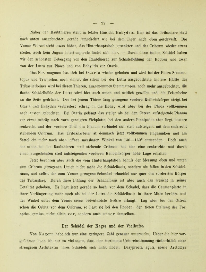Näher den Raubthieren steht in letzter Hinsicht Enhydris. Hier ist das Tribasilare statt nach unten ausgebuchtet, gerade umgekehrt wie bei dem Tiger nach oben geschweift. Die Vomer-Wurzel steht etwas höher, das Hinterhauptsloch gesenkter und das Cribrum wieder etwas steiler, auch kein Jugum intertemporale findet sich hier. — Durch diese beiden Schädel haben wir den schönsten Uebergang von den Raubthieren zur Schädelbildung der Robben und zwar von der Lutra zur Phoca und von Enhydris zur Otaria. Das For. magnum hat sich bei Otaria wieder gehoben und wird bei der Phoca Stemma- topus und Trichechus noch steiler, die schon bei der Lutra ausgebuchtete hintere Hälfte des Tribasilarbeines wird bei diesen Thieren, ausgenommen Stemmatopus, noch mehr ausgebuchtet, die flache Schädelhöhle der Lutra wird hier auch unten und seitlich gewölbt und die Felsenbeine an die Seite gedrückt. Der bei jenem Thiere lang gezogene vordere Keilbeinkörper steigt bei Otaria und Enhydris verbreitert schräg in die Höhe, wird aber bei der Phoca vollkommen nach aussen gebuchtet. Bei Otaria gelangt das steiler als bei den Ottern aufsteigende Planum zur etwas schräg nach vorn geneigten Siebplatte, bei den andern Pinnipeden aber liegt letztere senkrecht und der vordere Theil des Planum verbindet sich steil aufsteigend mit dem senkrecht stehenden Cribrum. Das Tribasilarbein ist demnach jetzt vollkommen eingesunken und am Sattel ein mehr nach oben oiTner messbarer Winkel von 130—160 entstanden. Doch auch das schon bei den Raubthieren steil stehende Cribrum hat hier eine senkrechte und durch einen ausgedehnten steil aufsteigenden vorderen Keilbeinkörper hohe Lage erhalten. Jetzt berühren aber auch die vom Hinterhauptsloch behufs der Messung oben und unten zum Cribrum gezogenen Linien nicht mehr die Schädelbasis, sondern sie fallen in den Schädel- raum, und selbst der zum Vomer gezogene Schenkel schneidet nur quer den vordersten Körper des Tribasilare. Durch diese Bildung der Schädelbasis ist aber auch das Gesicht in seiner Totalität gehoben. Es liegt jetzt gerade so hoch vor dem Schädel, dass die Gaumenplatte in ihrer Verlängerung mehr noch als bei der Lutra die Schädelbasis in ihrer Mitte berührt und der Winkel unter dem Vomer seine bedeutendste Grösse erlangt. Lag aber bei den Ottern schon die Orbita vor dem Cribrum, so liegt sie bei den Robben, der tiefen Stellung der For. optica gemäss, nicht allein vor, sondern auch unter demselben. Der Schädel der Nager und der Vielhufer. Von Nagern habe ich nur eine geringere Zahl genauer untersucht. Ueber die hier vor- geführten kann ich nur so viel sagen, dass eine bestimmte Uebereinstimmung rücksichtlich einer strengeren Architektur ihres Schädels sich nicht findet. Dasyprocta aguti, sowie Arctomys