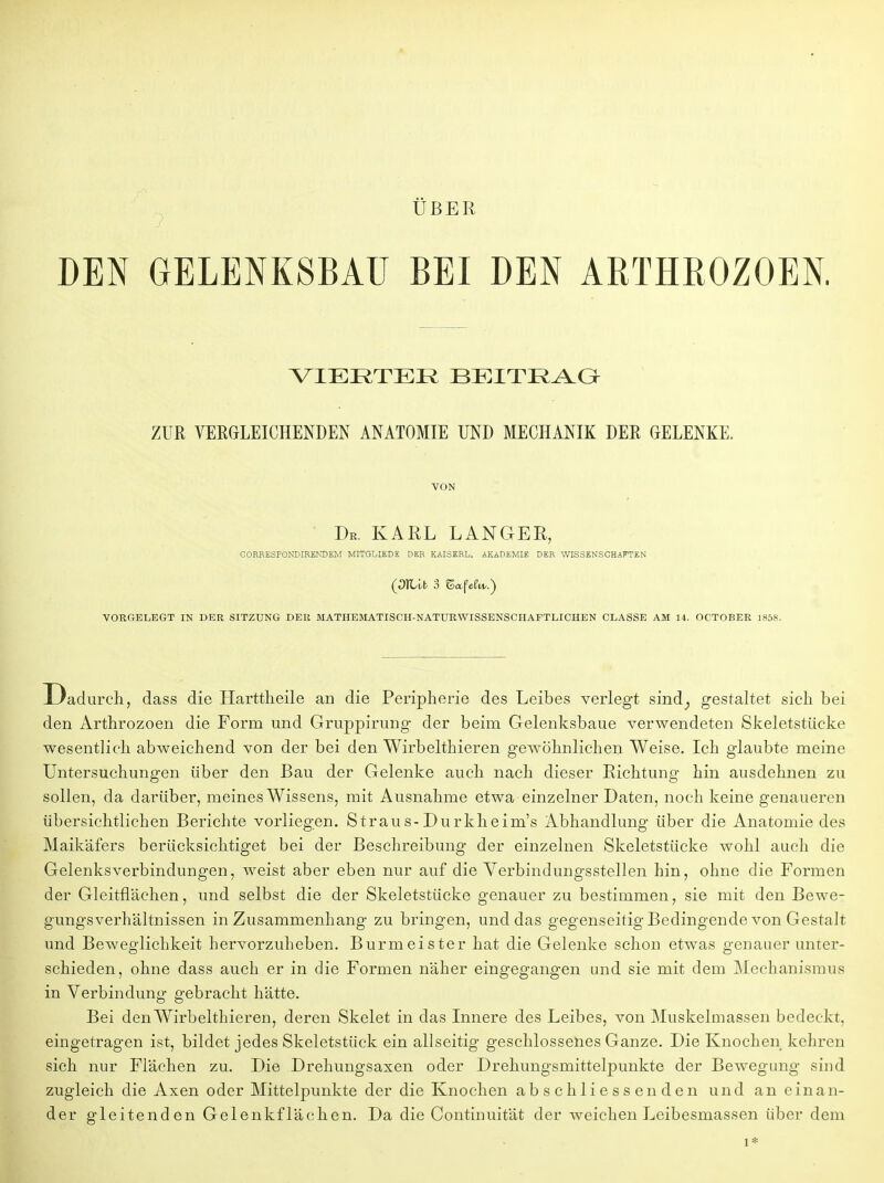 ÜBER DEN GELENKSBAU BEI DEN ARTHROZOEN. VIERTER BEITRAG ZUR VERGLEICHENDEN ANATOMIE UND MECHANIK DER GELENKE. VON Dr. KARL LANGER, CORRESPONDIRENDEM MITGLIEDE DER KAISERL. AKADEMIE DER WISSENSCHAFTEN VORGELEGT IN DER SITZUNG DER MATHEMATISCH-NATURWISSENSCHAFTLICHEN CLASSE AM 14. OCTOBER 1858. -Dadurch, dass die Harttheile an die Peripherie des Leibes verlegt sind; gestaltet sich bei den Arthrozoen die Form und Gruppirung der beim Gelenksbaue verwendeten Skeletstücke wesentlich abweichend von der bei den Wirbelthieren gewöhnlichen Weise. Ich glaubte meine Untersuchungen über den Bau der Gelenke auch nach dieser Richtung hin ausdehnen zu sollen, da darüber, meines Wissens, mit Ausnahme etwa einzelner Daten, noch keine genaueren übersichtlichen Berichte vorliegen. Straus-Durkheim's Abhandlung über die Anatomie des Maikäfers berücksichtiget bei der Beschreibung der einzelnen Skeletstücke wohl auch die Gelenks verbin düngen, weist aber eben nur auf die Verbind ungsstellen hin, ohne die Formen der Gleitflächen, und selbst die der Skeletstücke genauer zu bestimmen, sie mit den Bewe- gungsverhältnissen in Zusammenhang zu bringen, und das gegenseitig Bedingende von Gestalt und Beweglichkeit hervorzuheben. Burmeister hat die Gelenke schon etwas genauer unter- schieden, ohne dass auch er in die Formen näher eingegangen und sie mit dem Mechanismus in Verbindung gebracht hätte. Bei den Wirbelthieren, deren Skelet in das Innere des Leibes, von Muskelmassen bedeckt, eingetragen ist, bildet jedes Skeletstück ein allseitig geschlossenes Ganze. Die Knochen kehren sich nur Flächen zu. Die Drekungsaxen oder Drehungsmittelpunkte der Bewegung sind zugleich die Axen oder Mittelpunkte der die Knochen abschliessenden und an einan- der gleitenden Gelenkflächen. Da die Continuität der weichen Leibesmassen über dem