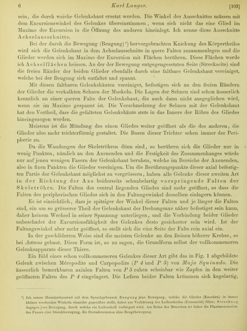 sein, die durch weiche Gelenkshaut ersetzt werden. Die Winkel des Ausschnittes müssen mit dem Excursionswinkel des Gelenkes übereinstimmen , wenn sich nicht das eine Glied im Maxmio der Excursion in die Öffnung des anderen hineinlegt. Ich nenne diese Ausschnitte Achselausschnitte. Bei der durch die Bewegung (Beugung)*) hervorgebrachten Knickung des Körpertheiles wird sich die Gelenkshaut in dem Achselausschnitte in quere Falten zusammenlegen und die Glieder werden sich im Maximo der Excursion mit Flächen berühren. Diese Flächen werde ich Achsel flächen heissen. An der der Bewegung entgegengesetzten Seite (Streckseite) sind die freien Ränder der beiden Glieder ebenfalls durch eine faltbare Gelenkshaut vereiniget, welche bei der Beugung sich entfaltet und spannt. Mit diesen faltbaren Gelenkshäuten vereiniget, befestigen sich an den freien Rändern der Glieder die verkalkten Sehnen der Muskeln. Die Lagen der Sehnen sind schon äusserlich kenntlich an einer queren Falte der Gelenkshaut, die auch dann nicht ausgeglichen wird, wenn sie im Maximo gespannt ist. Die Verschmelzung der Sehnen mit der Gelenkshaut hat den Vortheil, dass die gefalteten Gelenkshäute stets in das Innere der Röhre des Gliedes hineingezogen werden. Meistens ist die Mündung des einen Gliedes weiter geöffnet als die des anderen, die Glieder also mehr trichterförmig gestaltet. Die Basen dieser Trichter sehen immer der Peri- pherie zu. Da die Wandungen der Skeletröhren dünn sind, so berühren sich die Glieder nur in wenig Punkten, nämlich an den Axenenden und die Festigkeit des Zusammenhanges würde nur auf jenen wenigen Fasern der Gelenkshaut beruhen, welche im Bereiche der Axenenden, also in fixen Punkten die Glieder vereinigen. Um die Berükrungsjrankte dieser axial befestig- ten Partie der Gelenkshaut möglichst zu vergrössern, haben alle Gelenke dieser zweiten Art in der Richtung der Axe beiderseits schnabelartig vorspringende Falten der Skeletröhre. Die Falten des central liegenden Gliedes sind mehr geöffnet, so dass die Falten des peripherischen Gliedes sich in den Faltungswinkel desselben einlagern können. Es ist einsichtlich, dass je spitziger der Winkel dieser Falten und je länger die Falten sind, ein um so grösserer Theil der Gelenkshaut der Drehungsaxe näher befestiget sein kann, daher keinem Wechsel in seiner Spannung unterliegen, und die Verbindung beider Glieder unbeschadet der Excursionsfähigkeit des Gelenkes desto gesicherter sein wird. Ist der Faltungswinkel aber mehr geöffnet, so stellt sich die eine Seite der Falte rein axial ein. In der geschilderten Weise sind die meisten Gelenke an den Beinen höherer Krebse, so bei Astacus gebaut. Diese Form ist, so zu sagen, die Grundform selbst der vollkommeneren Gelenksapparate dieser Thiere. Ein Bild eines schon vollkommeneren Gelenkes dieser Art gibt das in Fig. 1 abgebildete Gelenk zwischen Meropodite und Carpopodite (P 4 und P 5) von Maja Squinado. Die äusserlich bemerkbaren axialen Falten von P 5 ruhen scheinbar wie Zapfen in den weiter geöffneten Falten des P 4 eingelagert. Die Lefzen beider Falten krümmen sich kegelartig, J) Ich nenne übereinstimmend mit dem Sprachgebrauch Beugung jene Bewegung, welche die Glieder (Knochen) in immer kleiner werdenden Winkeln einander gegenüber stellt, daher zur Verkürzung des Leibesthciles (Extremität) führt; Streckung dagegen jene Bewegung, durch welche ein Leibestheil verlängert wird. Am Beine des Menschen ist daher die Plantarcxcursion des Fusses eine Streckbewegung, die Dorsalexcursion eine Beugebewegung.