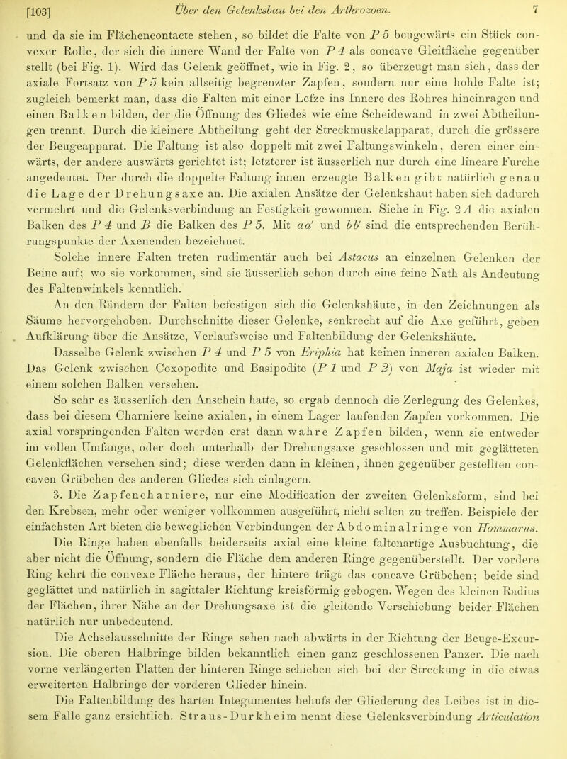 und da sie im Fl'ächencontacte stehen, so bildet die Falte von P 5 beugewärts ein Stück con- vexer Rolle, der sich die innere Wand der Falte von P 4 als concave Gleitfläche gegenüber stellt (bei Fig. 1). Wird das Gelenk geöffnet, wie in Fig. 2, so überzeugt man sich, dass der axiale Fortsatz von P 5 kein allseitig begrenzter Zapfen, sondern nur eine hohle Falte ist; zugleich bemerkt man, dass die Falten mit einer Lefze ins Innere des Rohres hineinragen und einen Balken bilden, der die Öffnung des Gliedes wie eine Scheidewand in zwei Abtheilun- gen trennt. Durch die kleinere Abtheilung geht der Streckmuskelapparat, durch die grössere der Beugeapparat. Die Faltung ist also doppelt mit zwei Faltungswinkeln, deren einer ein- wärts, der andere auswärts gerichtet ist; letzterer ist äusserlich nur durch eine lineare Furche angedeutet. Der durch die doppelte Faltung innen erzeugte Balken gibt natürlich genau die Lage der Drehungsaxe an. Die axialen Ansätze der Gelenkshaut haben sich dadurch vermehrt und die Gelenks Verbindung an Festigkeit gewonnen. Siehe in Fig. 2A die axialen Balken des P 4 und B die Balken des P 5. Mit ad und bb' sind die entsprechenden Berüh- rungspunkte der Axenenden bezeichnet. Solche innere Falten treten rudimentär auch bei Astacus an einzelnen Gelenken der Beine auf; wo sie vorkommen, sind sie äusserlich schon durch eine feine Nath als Andeutung des Faltenwinkels kenntlich. An den Rändern der Falten befestigen sich die Gelenkshäute, in den Zeichnungen als Säume hervorgehoben. Durchschnitte dieser Gelenke, senkrecht auf die Axe geführt, geben Aufklärung über die Ansätze, Verlaufsweise und Faltenbildung der Gelenkshäute. Dasselbe Gelenk zwischen P 4 und P 5 von Ervphia hat keinen inneren axialen Balken. Das Gelenk -zwischen Coxopodite und Basipodite (P 1 und P 2) von Maja ist wieder mit einem solchen Balken versehen. So sehr es äusserlich den Anschein hatte, so ergab dennoch die Zerlegung des Gelenkes, dass bei diesem Charniere keine axialen, in einem Lager laufenden Zapfen vorkommen. Die axial vorspringenden Falten werden erst dann wahre Zapfen bilden, wenn sie entweder im vollen Umfange, oder doch unterhalb der Drehungsaxe geschlossen und mit geglätteten Gelenkflächen versehen sind; diese werden dann in kleinen, ihnen gegenüber gestellten con- caven Grübchen des anderen Gliedes sich einlagern. 3. Die Z ap fench arniere, nur eine Moditication der zweiten Gelenksform, sind bei den Krebsen, mehr oder weniger vollkommen ausgeführt, nicht selten zu treffen. Beispiele der einfachsten Art bieten die beweglichen Verbindungen der Abdominalringe von Hommarus. Die Ringe haben ebenfalls beiderseits axial eine kleine faltenartige Ausbuchtung, die aber nicht die Öffnung, sondern die Fläche dem anderen Ringe gegenüberstellt. Der vordere Ring kehrt die convexe Fläche heraus, der hintere trägt das concave Grübchen; beide sind geglättet und natürlich in sagittaler Richtung kreisförmig gebogen. Wegen des kleinen Radius der Flächen, ihrer Nähe an der Drehungsaxe ist die gleitende Verschiebung beider Flächen natürlich nur unbedeutend. Die Achselausschnitte der Ringe sehen nach abwärts in der Richtung der Beuge-Excur- sion. Die oberen Halbringe bilden bekanntlich einen ganz geschlossenen Panzer. Die nach vorne verlängerten Platten der hinteren Ringe schieben sich bei der Streckung in die etwas erweiterten Halbringe der vorderen Glieder hinein. Die Faltenbildung des harten Integumentes behufs der Gliederung des Leibes ist in die- sem Falle ganz ersichtlich. Str aus-Dürkheim nennt diese Gelenksverbindung Articidation