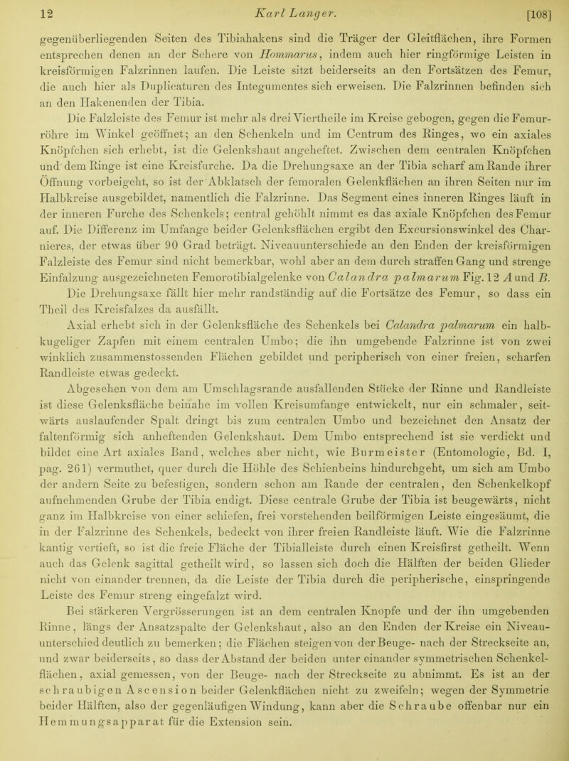 gegenüberliegenden Seiten des Tibiahakens sind die Träger der Gleitflächen, ihre Formen entsprechen denen an der Schere von Hommarus, indem auch hier ringförmige Leisten in kreisförmigen Falzrinnen laufen. Die Leiste sitzt beiderseits an den Fortsätzen des Fernur, die auch hier als Duplicaturen des Integumentes sich erweisen. Die Falzrinnen befinden sich an den Hakenenden der Tibia. Die Falzleiste des Femur ist mehr als drei Viertheile im Kreise gebogen, gegen dieFemur- röhre im Winkel geöffnet; an den Schenkeln und im Centrum des Ringes, wo ein axiales Knöpfchen sich erhebt, ist die Gelenkshaut angeheftet. Zwischen dem centralen Knöpfchen und dem Ringe ist eine Kreisfurche. Da die Drehungsaxe an der Tibia scharf am Rande ihrer Öffnung vorbeigeht, so ist der Abklatsch der femoralen Gelenkflächen an ihren Seiten nur im Halbkreise ausgebildet, namentlich die Falzrinne. Das Segment eines inneren Ringes läuft in der inneren Furche des Schenkels; central gehöhlt nimmt es das axiale Knöpfchen des Femur auf. Die Differenz im Umfange beider Gelenksflächen ergibt den Excursionswinkel des Char- nieres, der etwas über 90 Grad beträgt. Niveauunterschiede an den Enden der kreisförmigen Falzleiste des Femur sind nicht bemerkbar, wohl aber an dem durch straffen Gang und strenge Einfalzung ausgezeichneten Femorotibialgelenke von Calandra palmarum Fig. 12 ^.und B. Die Drehungsaxe fällt hier mehr randständig auf die Fortsätze des Femur, so dass ein Theil des Kreisfalzes da ausfällt. Axial erhebt sich in der Gelenksfläche des Schenkels bei Calandra palmo,rum ein halb- kugeliger Zapfen mit einem centralen Umbo; die ihn umgebende Falzrinne ist von zwei winklieh zusammenstossenden Flächen gebildet und peripherisch von einer freien, scharfen Randleiste etwas gedeckt. Aboesehen von dem am Umschlao-srande ausfallenden Stücke der Rinne und Randleiste ist diese Gelenksfläche beinahe im vollen Kreisumfange entwickelt, nur ein schmaler, seit- wärts auslaufender Spalt dringt bis zum centralen Umbo und bezeichnet den Ansatz der faltenförmig sich anheftenden Gelenkshaut. Dem Umbo entsprechend ist sie verdickt und bildet eine Art axiales Band, welches aber nicht, wie Burmeister (Entomologie, Bd. I, pag. 261) vermuthet, quer durch die Höhle des Schienbeins hindurchgeht, um sich am Umbo der andern Seite zu befestigen, sondern schon am Rande der centralen, den Schenkelkopf aufnehmenden Grube der Tibia endigt. Diese centrale Grube der Tibia ist beugewärts, nicht ganz im Halbkreise von einer schiefen, frei vorstehenden beilförmigen Leiste eingesäumt, die in der Falzrinne des Schenkels, bedeckt von ihrer freien Randleiste läuft. Wie die Falzrinne kantig vertieft, so ist die freie Fläche der Tibialleiste durch einen Kreisfirst getheilt. Wenn auch das Gelenk sagittal getheilt wird, so lassen sich doch die Hälften der beiden Glieder nicht von einander trennen, da die Leiste der Tibia durch die peripherische, einspringende Leiste des Femur streng eingefalzt wird. Bei stärkeren Yergrösserungen ist an dem centralen Knopfe und der ihn umgebenden Rinne, längs der Ansatzspalte der Gelenkshaut, also an den Enden der Kreise ein Niveau- unterschieddeutlich zu bemerken; die Flächen steigen von der Beuge- nach der Streckseite an, und zwar beiderseits, so dass der Abstand der beiden unter einander symmetrischen Schenkel- flächen , axial gemessen, von der Beuge- nach der Streckseite zu abnimmt. Es ist an der sch ra ubigen A scension beider Gelenkflächen nicht zu zweifeln; wegen der Symmetrie beider Hälften, also der gegenläufigen Windung, kann aber die Schraube offenbar nur ein Hemmungsapparat für die Extension sein.