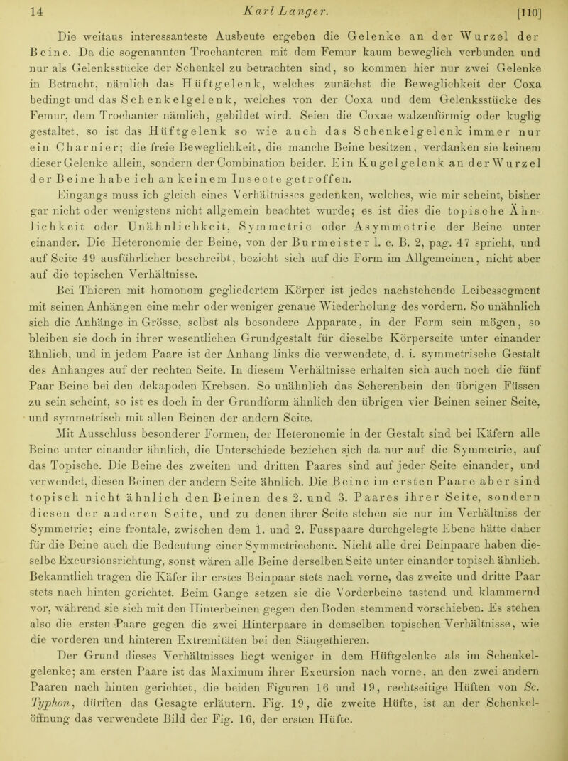 Die weitaus interessanteste Ausbeute ergeben die Gelenke an der Wurzel der Beine. Da die sogenannten Trochanteren mit dem Femur kaum beweglich verbunden und nur als Gelenksstücke der Schenkel zu betrachten sind, so kommen hier nur zwei Gelenke in Betracht, nämlich das Hüftgelenk, welches zunächst die Beweglichkeit der Coxa bedingt und das S ch enkelgelenk, welches von der Coxa und dem Gelenksstücke des Femur, dem Trochanter nämlich, gebildet wird. Seien die Coxae walzenförmig oder kuglig gestaltet, so ist das Hüftgelenk so wie auch das S ch enke 1 g el enk immer nur ein Charnier; die freie Beweglichkeit, die manche Beine besitzen, verdanken sie keinem dieser Gelenke allein, sondern der Combination beider. Ein Kugelgelenk an der Wurzel der Beine habe ich an keinem Insecte getroffen. Eingangs muss ich gleich eines Verhältnisses gedenken, welches, wie mir scheint, bisher gar nicht oder wenigstens nicht allgemein beachtet wurde; es ist dies die topische Ähn- lichkeit oder Unähnli chkeit, Symmetrie oder Asymmetrie der Beine unter einander. Die Heteronomie der Beine, von der Burmeister 1. c. B. 2, pag. 47 spricht, und auf Seite 49 ausführlicher beschreibt, bezieht sich auf die Form im Allgemeinen, nicht aber auf die topischen Verhältnisse. Bei Thieren mit homonom gegliedertem Körper ist jedes nachstehende Leibessegment mit seinen Anhängen eine mehr oder weniger genaue Wiederholung des vordem. So unähnlich sich die Anhänge in Grösse, selbst als besondere Apparate, in der Form sein mögen, so bleiben sie doch in ihrer wesentlichen Grundgestalt für dieselbe Körperseite unter einander ähnlich, und in jedem Paare ist der Anhang links die verwendete, d. i. symmetrische Gestalt des Anhanges auf der rechten Seite. In diesem Verhältnisse erhalten sich auch noch die fünf Paar Beine bei den dekapoden Krebsen. So unähnlich das Scherenbein den übrigen Füssen zu sein scheint, so ist es doch in der Grundform ähnlich den übrigen vier Beinen seiner Seite, und symmetrisch mit allen Beinen der andern Seite. Mit Ausschluss besonderer Formen, der Heteronomie in der Gestalt sind bei Käfern alle Beine unter einander ähnlich, die Unterschiede beziehen sich da nur auf die Symmetrie, auf das Topische. Die Beine des zweiten und dritten Paares sind auf jeder Seite einander, und verwendet, diesen Beinen der andern Seite ähnlich. Die Beine im ersten Paare aber sind topisch nicht ähnlich den Beinen des 2. und 3. Paares ihrer Seite, sondern diesen der anderen Seite, und zu denen ihrer Seite stehen sie nur im Verhältniss der Symmetrie; eine frontale, zwischen dem 1. und 2. Fusspaare durchgelegte Ebene hätte daher für die Beine auch die Bedeutung einer Symmetrieebene. Nicht alle drei Beinpaare haben die- selbe Excursionsrichtung, sonst wären alle Beine derselben Seite unter einander topisch ähnlich. Bekanntlich tragen die Käfer ihr erstes Beinpaar stets nach vorne, das zweite und dritte Paar stets nach hinten gerichtet. Beim Gange setzen sie die Vorderbeine tastend und klammernd vor, während sie sich mit den Hinterbeinen gegen den Boden stemmend vorschieben. Es stehen also die ersten-Paare gegen die zwei Hinterpaare in demselben topischen Verhältnisse, wie die vorderen und hinteren Extremitäten bei den Säugethieren. Der Grund dieses Verhältnisses liegt weniger in dem Hüftgelenke als im Schenkel- gelenke; am ersten Paare ist das Maximum ihrer Excursion nach vorne, an den zwei andern Paaren nach hinten gerichtet, die beiden Figuren 16 und 19, rechtscitige Hüften von 8c. Typhon, dürften das Gesagte erläutern. Fig. 19, die zweite Hüfte, ist an der Schenkel- Öffnung das verwendete Bild der Fig. 16, der ersten Hüfte.