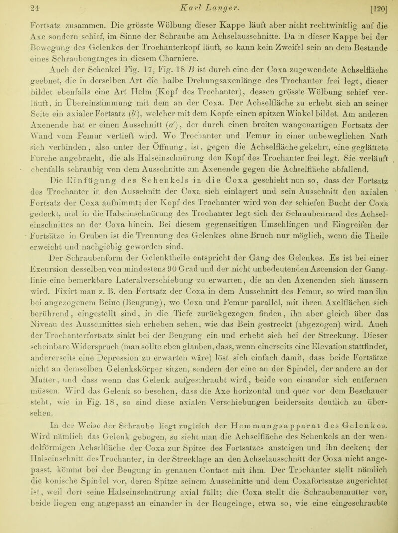 Fortsatz zusammen. Die grösste Wölbung dieser Kappe läuft aber nicht rechtwinklig auf die Axe sondern schief, im Sinne der Schraube am Achselausschnitte. Da in dieser Kappe bei der Bewegung des Gelenkes der Trochanterkopf läuft, so kann kein Zweifel sein an dem Bestände eines Schraubenganges in diesem Charniere. Auch der Schenkel Fig. 17, Fig. 18 B ist durch eine der Coxa zugewendete Achselfläche geebnet, die in derselben Art die halbe Drehungsaxenlänge des Trochanter frei legt, dieser bildet ebenfalls eine Art Helm (Kopf des Trochanter), dessen grösste Wölbung schief ver- läuft, in Ubereinstimmung mit dem an der Coxa. Der Achselfläche zu erhebt sich an seiner Seite ein axialer Fortsatz (&'), welcher mit dem Kopfe einen spitzen Winkel bildet. Am anderen Axenende hat er einen Ausschnitt («'), der durch einen breiten wangenartigen Fortsatz der Wand vom Femur vertieft wird. Wo Trochanter und Femur in einer unbeweglichen Nath sich verbinden, also unter der Öffnung, ist, gegen die Achselfläche gekehrt, eine geglättete Furche angebracht, die als Halseinschnürung den Kopf des Trochanter frei legt. Sie verläuft ebenfalls schraubig von dem Ausschnitte am Axenende gegen die Achselfläche abfallend. Die Einfügung des Schenkels in die Coxa geschieht nun so, dass der Fortsatz des Trochanter in den Ausschnitt der Coxa sich einlagert und sein Ausschnitt den axialen Fortsatz der Coxa aufnimmt; der Kopf des Trochanter wird von der schiefen Bucht der Coxa gedeckt, und in die Halseinschnürung des Trochanter legt sich der Schraubenrand des Achsel- einschnittes an der Coxa hinein. Bei diesem gegenseitigen Umschlingen und Eingreifen der Fortsätze in Gruben ist die Trennung des Gelenkes ohne Bruch nur möglich, wenn die Theile erweicht und nachgiebig geworden sind. Der Schraubenform der Gelenktheile entspricht der Gang des Gelenkes. Es ist bei einer Excursion desselben von mindestens 90 Grad und der nicht unbedeutenden Ascension der Gang- linie eine bemerkbare Lateral Verschiebung zu erwarten, die an den Axenenden sich äussern wird. Fixirt man z. B. den Fortsatz der Coxa in dem Ausschnitt des Femur, so wird man ihn bei angezogenem Beine (Beugung), wo Coxa und Femur parallel, mit ihren Axelflächen sich berührend, eingestellt sind, in die Tiefe zurückgezogen finden, ihn aber gleich über das Niveau des Ausschnittes sich erheben sehen, wie das Bein gestreckt (abgezogen) wird. Auch der Trochanterfortsatz sinkt bei der Beugung ein und erhebt sich bei der Streckung. Dieser scheinbare Widerspruch (man sollte eben glauben, dass, wenn einerseits eine Elevation stattfindet, andererseits eine Depression zu erwarten wäre) löst sich einfach damit, dass beide Fortsätze nicht an demselben Gelenkskörper sitzen, sondern der eine an der Spindel, der andere an der Mutter, und dass wenn das Gelenk aufgeschraubt wird, beide von einander sich entfernen müssen. Wird das Gelenk so besehen, dass die Axe horizontal und quer vor dem Beschauer steht, wie in Fig. 18, so sind diese axialen Verschiebungen beiderseits deutlich zu über- sehen. In der Weise der Schraube liegt zugleich der Hemmungsapparat des Gelenkes. Wird nämlich das Gelenk gebogen, so sieht man die Achselfläche des Schenkels an der wen- deiförmigen Achselfläche der Coxa zur Spitze des Fortsatzes ansteigen und ihn decken; der Halseinschnitt des Trochanter, in der Strecklage an den Achselausschnitt der Coxa nicht ange- passt, kömmt bei der Beugung in genauen Contact mit ihm. Der Trochanter stellt nämlich die konische Spindel vor, deren Spitze seinem Ausschnitte und dem Coxafortsatze zugerichtet ist. weil dort seine Halseinschnürung axial fällt; die Coxa stellt die Schraubenmutter vor, beide liegen eng angepasst an einander in der Beugelage, etwa so, wie eine eingeschraubte