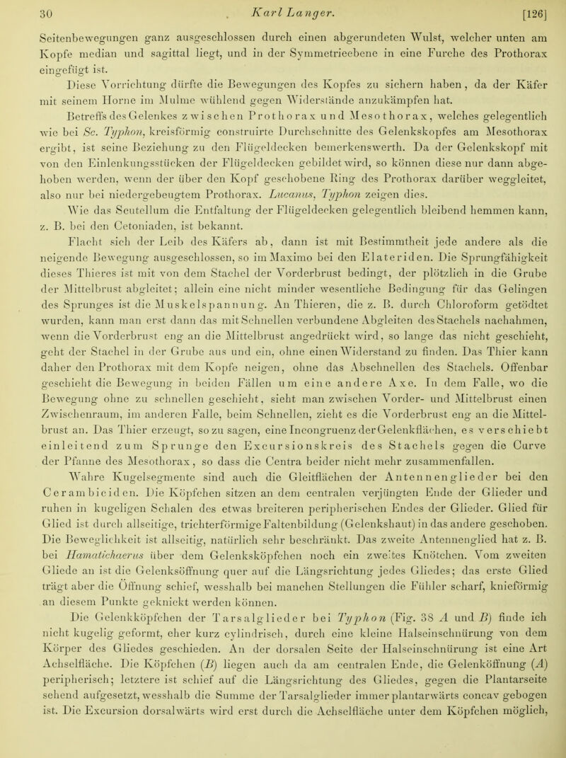 Seitenbewegungen ganz ausgeschlossen durch einen abgerundeten Wulst, welcher unten am Kopfe median und sagittal liegt, und in der Symmetrieebene in eine Furche des Prothorax eingefügt ist. Diese Vorrichtung dürfte die Bewegungen des Kopfes zu sichern haben , da der Käfer mit seinem Hörne im Mulme wühlend gegen Widerstände anzukämpfen hat. Betreffs des Gelenkes zwischen Prothorax und Mesothorax, welches gelegentlich wie bei Sc Typkon, kreisförmig construirte Durchschnitte des Gelenkskopfes am Mesothorax ergibt, ist seine Beziehung zu den Flügeldecken bemerkenswerth. Da der Gelenkskopf mit von den Einlenkungsstücken der Flügeldecken gebildet wird, so können diese nur dann abge- hoben werden, wenn der über den Kopf geschobene Ring des Prothorax darüber weggleitet, also nur bei niedergebeugtem Prothorax. Lucanus, Typhon zeigen dies. Wie das Scutellum die Entfaltung der Flügeldecken gelegentlich bleibend hemmen kann, z. B. bei den Cetoniaden, ist bekannt. Flacht sich der Leib des Käfers ab, dann ist mit Bestimmtheit jede andere als die neigende Bewegung ausgeschlossen, so im Maximo bei den Elateriden. Die Sprungfähigkeit dieses Thieres ist mit von dem Stachel der Vorderbrust bedingt, der plötzlich in die Grube der Mittelbrust abgleitet; allein eine nicht minder wesentliche Bedingung für das Gelingen des Sprunges ist die Muskelspannung. An Thieren, die z. B. durch Chloroform getödtet wurden, kann man erst dann das mit Schnellen verbundene Abgleiten des Stachels nachahmen, wenn die Vorderbrust eng an die Mittelbrust angedrückt wird, so lange das nicht geschieht, geht der Stachel in der Grube aus und ein, ohne einen Widerstand zu -finden. Das Thier kann daher den Prothorax mit dem Kopfe neigen, ohne das Abschnellen des Stachels. Offenbar geschieht die Bewegung in beiden Fällen um eine andere Axe. In dem Falle, wo die Bewegung ohne zu schnellen geschieht, sieht man zwischen Vorder- und Mittelbrust einen Zwischenraum, im anderen Falle, beim Schnellen, zieht es die Vorderbrust eng an die Mittel- brust an. Das Thier erzeugt, sozusagen, eine Incongruenz derGelenkflächen, es verschiebt einleitend zum Sprunge den Excursionskreis des Stachels gegen die Curve der Pfanne des Mesothorax, so dass die Centra beider nicht mehr zusammenfallen. Wahre Kugelsegmente sind auch die Gleitflächen der Anten n en glie der bei den Cerambiciden. Die Köpfchen sitzen an dem centralen verjüngten Ende der Glieder und ruhen in kugeligen Schalen des etwas breiteren peripherischen Endes der Glieder. Glied für Glied ist durch allseitige, trichterförmige Faltenbildung (Gelenkshaut) in das andere geschoben. Die Beweglichkeit ist allseitig, natürlich sehr beschränkt. Das zweite Antennenglied hat z. B. bei Hamatichaerus über dem Gelenksköpfchen noch ein zwe'tes Knötchen. Vom zweiten Gliede an ist die Gelenksöffnung quer auf die Längsrichtung jedes Gliedes; das erste Glied trägt aber die Öffnung schief, wesshalb bei manchen Stellungen die Fühler scharf, knieförmig an diesem Punkte geknickt werden können. Die Gelenkköpfchen der Tarsaiglieder bei Typlion (Fig. 38 A und.B) finde ich nicht kugelig geformt, eher kurz cylindrisch, durch eine kleine Halseinschnürung von dem Körper des Gliedes geschieden. An der dorsalen Seite der Halseinschnürung ist eine Art Achselfläche. Die Köpfchen (B) liegen auch da am centralen Ende, die Gelenköffnung (^4) peripherisch; letztere ist schief auf die Längsrichtung des Gliedes, gegen die Plantarseite sehend aufgesetzt, wesshalb die Summe der Tarsaiglieder immer plantarwärts concav gebogen ist. Die Excursion dorsalwärts wird erst durch die Achselfläche unter dem Köpfchen möglich,