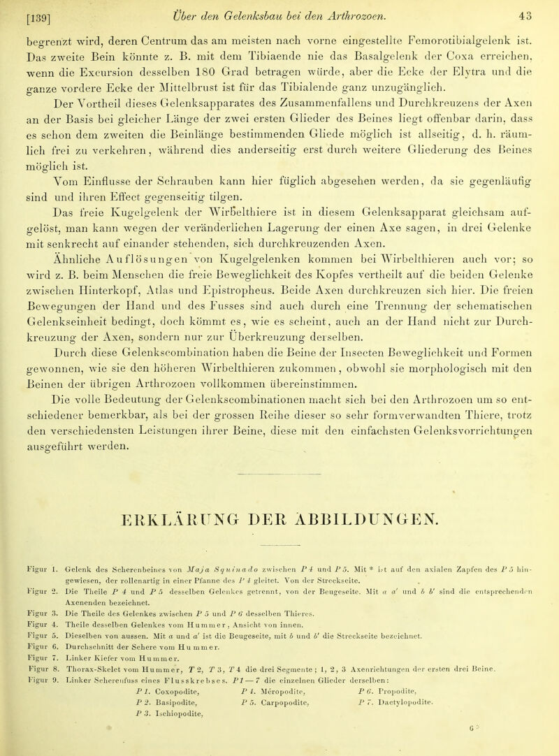 begrenzt wird, deren Centrum das am meisten nach vorne eingestellte Femorotibialgelenk ist. Das zweite Bein könnte z. B. mit dem Tibiaende nie das Basalgelenk der Coxa erreichen, wenn die Excursion desselben 180 Grad betragen würde, aber die Ecke der Elytra und die ganze vordere Ecke der Mittelbrust ist für das Tibialende ganz unzugänglich. Der Vortheil dieses Gelenksapparates des Zusammenfallens und Durchkreuzens der Axen an der Basis bei gleicher Länge der zwei ersten Glieder des Beines liegt offenbar darin, dass es schon dem zweiten die Beinlänge bestimmenden Gliede möglich ist allseitig, d. h. räum- lich frei zu verkehren, während dies anderseitig erst durch weitere Gliederung des Beines möglich ist. Vom Einflüsse der Schrauben kann hier füglich abgesehen werden, da sie gegenläufig sind und ihren Effect gegenseitig tilgen. Das freie Kugelgelenk der WirBelthiere ist in diesem Gelenksapparat gleichsam auf- gelöst, man kann wegen der veränderlichen Lagerung der einen Axe sagen, in drei Gelenke mit senkrecht auf einander stehenden, sich durchkreuzenden Axen. Almliche Auflösungen von Kugelgelenken kommen bei Wirbelthieren auch vor; so wird z. B. beim Menschen die freie Beweglichkeit des Kopfes vertheilt auf die beiden Gelenke zwischen Hinterkopf, Atlas und Epistropheus. Beide Axen durchkreuzen sich hier. Die freien Bewegungen der Hand und des Fusses sind auch durch eine Trennung der schematischen Gelenkseinheit bedingt, doch kömmt es, wie es scheint, auch an der Hand nicht zur Durch- kreuzung der Axen, sondern nur zur Uberkreuzung derselben. Durch diese Gelenkscombination haben die Beine der Insecten Beweglichkeit und Formen gewonnen, wie sie den höheren Wirbelthieren zukommen , obwohl sie morphologisch mit den Beinen der übrigen Arthrozoen vollkommen übereinstimmen. Die volle Bedeutung der Gelenkscombinationen macht sich bei den Arthrozoen um so ent- schiedener bemerkbar, als bei der grossen Reihe dieser so sehr formverwandten Thiere, trotz den verschiedensten Leistungen ihrer Beine, diese mit den einfachsten Gelenksvorrichtungen ausgeführt werden. ERKLÄRUNG DER ABBILDUNGEN. Figur 1. Gelenk des Scherenbeincs von Maja Squina do zwischen P4 und P 5. Mit * i.-t auf den axialen Zapfen des P 5 hin- gewiesen, der rollenartig in einer Pfanne des P 4 gleitet. Von der Streekseite. Figur 2. Die Tlieile P 4 und P 6 desselben Gelenkes getrennt, von der Beugeseite. Mit a a' und b V sind die entsprechenden Axenenden bezeichnet. Figur 3. Die Theile des Gelenkes zwischen P 5 und P 0 desselben Thieres. Figur 4. Theile desselben Gelenkes vom Hummer, Ansicht von innen. Figur 5. Dieselben von aussen. Mit a und a' ist die Beugeseite, mit b und U die Streckseite bezeichnet. Figur 6. Durchschnitt der Schere vom Hu mmer. Figur 7. Linker Kiefer vom Hummer. Figur 8. Thorax-Skelet vom Hummer, T 2, T3, T 4 die drei Segmente ; 1, 2, 3 Axenrichtungen der ersten drei Beine. Figur 9. Linker Scherenfuss eines Flusskrebses. PI — 7 die einzelnen Glieder derselben: PI. Coxopodite, P 4. Meropodite, P G. Propodite, P 2. Basipodite, P 5. Carpopodite, P 7. Dactylopodite. P 3. Ischiopodite,