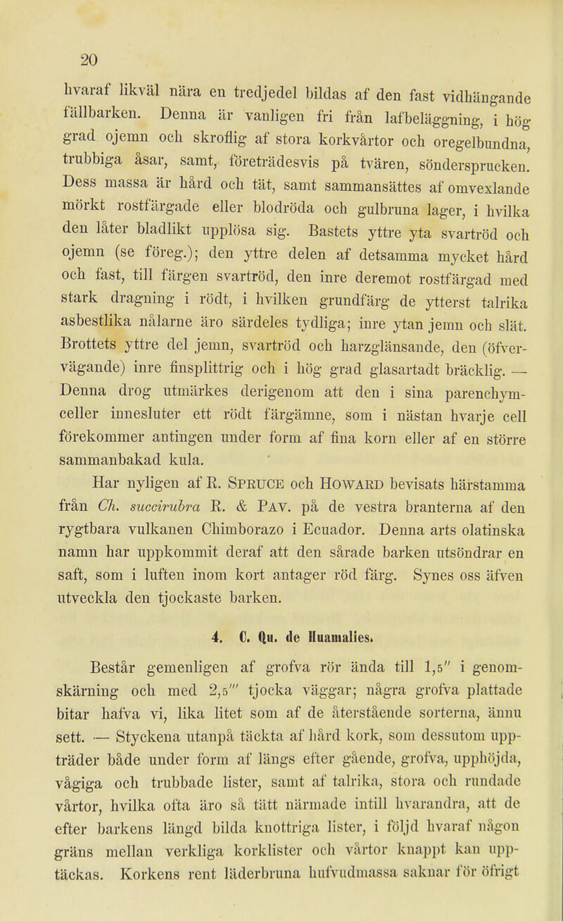 hvaraf likväl nära en tredjedel bildas af den fast vidhängande fällbarken. Denna är vanligen fri från lafbeläggning, i hög grad ojemn och skroflig af stora korkvårtor och oregelbundna, trubbiga åsar, samt, företrädesvis på tvären, söndersprucken. Dess massa är hård och tät, samt sammansättes af omvexlande mörkt rostfärgade eller blodröda och gulbruna lager, i hvilka den låter bladlikt upplösa sig. Bastets yttre yta svartröd och ojemn (se föreg.); den yttre delen af detsamma mycket hård och fast, till färgen svartröd, den inre deremot rostfärgad med stark dragning i rödt, i hvilken grundfärg de ytterst talrika asbestlika nålarne äro särdeles tydliga; inre ytan jemn och slät. Brottets yttre del jemn, svartröd och harzglänsande, den (öfver- vägande) inre finsplittrig och i hög grad glasartadt bräcklig. — Denna drog utmärkes derigenom att den i sina parenchym- celler innesluter ett rödt färgämne, som i nästan hvarje cell förekommer antingen under form af fina korn eller af en större sammanbakad kula. Har nyligen af R. Spruce och Howard bevisats härstamma från Ch. succiriibra R. & Pav. på de vestra branterna af den rygtbara vulkanen Chimborazo i Ecuador. Denna arts olatinska namn har uppkommit deraf att den sårade barken utsöndrar en saft, som i luften inom kort antager röd färg. Synes oss äfven utveckla den tjockaste barken. 4. C. Qu. de lluanialiest Består gemenligen af grofva rör ända till 1,5 i genom- skärning och med 2,5' tjocka väggar; några grofva plattade bitar hafva vi, lika litet som af de återstående sorterna, ännu sett. — Styckena utanpå täckta af hård kork, som dessutom upp- träder både under form af längs efter gående, grofva, upphöjda, vågiga och trubbade lister, samt af talrika, stora och rundade vårtor, hvilka ofta äro så tätt närmade intill hvarandra, att de efter barkens längd bilda knottriga lister, i följd hvaraf någon gräns mellan verkliga korklister och vårtor knappt kan upp- täckas. Korkens rent läderbruna hufVudmassa saknar för öfrigt