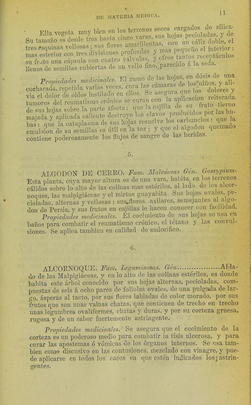 1)K MATEUIA MEDI(;A, • Ell. veg.U muy M» «. Jj^, LliTe^lats^? do Su tamaño es desde tres hasta ^1^° YJV';'cáliz doble, el tres esquinas vellosas; »ns flores ^'f' f ' cmeñ^ el interior: mas esterior con tres divisiones profundas y ^^^^l^^os receotáculos su ñvito una cápsula con cuatro válvulas, y otio. í^^^'' llenos de semillas cubiertas de un vello fino,.parecido a la. seda. Propiedades .nedMs. El j^^ ^^Í^^^ cucbarada. repetida varias veces, cura las «^^^^^.^^ ^^J^.^^^^^io^-es v Via el dolor de oídos instilado en ellos, fee ^«egu. a q^e lo^^^ .T.^ tumores del reumatismo crónico se curan con la ^Pji^^cion ut.,^^^^^ de sus hojas sobre la parte afecta: que la cajilla de su f. uto tic no majada y aplicada caliente destruye los clavos P'-o^^^^^^^, P° ' bas : que la cataplasma de sus hojas resuelve los f ^^^^^^f'^^^^^^'J^^ emulsión de su semillas es útil en la toz ; y que el a godon quemado contiene poderosamente los flujos de sangre de las heiidas. ALGODON DE CEERO. Favi. Malváneas Gén. Gossypiuvi- Esta planta, cuya mayor altura es de una vara, habita en los terrenos cálidos sobre lo alto de las colinas mas estériles, al lado de los alcor- noques, las malpigiáceas y el mirtus guayabita. Sus hojas ovales, pti- eioladas. alternas y vellosas : sus^flores axilares, semejantes^al algo- dón de Persia, y sus frutos en cajillas le hacen conocer con íaciliüacl. Propiedades medicinales. El cocimiento de sus hojas se usa en baños para combatir el reumatismo crónico, el tétano y las convul- siones. Se aplica también en calidad de sudorífico. 6. ALCORNOQUE. Fam. Leguminosas. Gén Alvla- do de las Malpigiáceas, y en lo alto de las colinas estériles, es donde habita este árbol conocido por sus hojas alternas, pecioladas, com- puestas de seis á ocho pares de foliólas ovales, de una pulgada de lar- go, ásperas al tacto, por sus flores labiadas de color morado, por sus frutos que son unas vainas chatas, que contienen de trecho en trecho unas legumbres ovaliformes, chatas y duras, y por su corteza gruesa, rugosa y de un sabor fuertemente astringente. Propiedades medicinales. Se asegura que el cocimiento de la corteza es un poderoso medio para combatir la tisis ulcerosa, y para curar las apostemas ó vómicas de los órganos internos. So usa tam- bién como discusivo en las contusiones, mezclado con vinagre, y pue- de aplicarse en todos los casos en que estén indicados losj astrin- gentes.