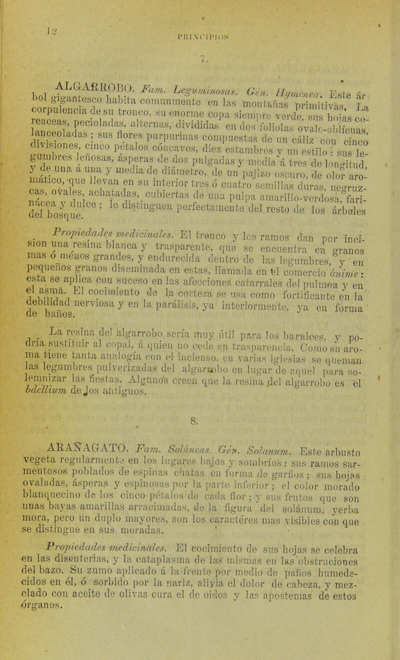 I'I¡I.\('1I'I(IS ALGAÍU10J30. Fam. Les¡uvmiosas. G¿,t. tlunimca Fsfft ho g,pu-.l,esco habita comunmente en las monta.^f ;; milíí;? ? a corpulencia de su tronco, .u enorme copa siempre verde sns S. ..f reuceas, pecioladas. alternas, divididas en dos'folioll oVat^ lanceoladas ; sus flores purpurinas compuestas de un cáS cou dnco divisiones cinco pétalos cóncavos, diez estambres v unlSjirsu le g-umbres leñosas, ásperas de dos pulgadas y n^edia'á tres de l^n^^íud matico, .que llevan en su interior tres ó cuatío semillas di ras nc-, uz dulcir't^^K^^^'^*^^ ^'T''' P^^P^ amarillo-viS^K ciéTbosque '^i-^t^^g-uen perfectamente del resto de los árboles _ Tropieandes medicinales. El tronco y los ramos dan por inci- sión una resina blanca y trasparente, que se encuentra en granos mas Gímenos grandes, y endurecida dentro de las legumbres, y en pequeños granos diseminada en estas, llamada en fel comercio tóíc • «sta se aplica con suceso en las afecciones catarrales del pulmoa v en el asmá El cociuaiento de la corteza se usa como fortificante e'n la' debilidad nerviosa y en la parálisis, ya interiormente, ya en forma ' de baños. ^ La resina del algarrobo sería muy útil para los barnices, v po- dría sustituir al copal, á quien no cede en trasparencia, Comosíi aro- ma tiene tanta analogía con el incienso, en varias iglesias se queman Jas legumbres pulverizadas del algarsobo en lugar de aquel para so- Jemnizar las fiestas. Alguno's creen que la resiiia^el algarrobo es el bdeUium dejos aíitiguos, 8. ARAííAGATO. Favi. Solúueas. Gén. Solaman. Este arbusto vegeta regularmente en los lugares bajos y sombríos : sus ramos sar- mentosos poblados de espinas chatas en forma de garfios ; sus hojfis ovaladas, ásperas y espinosas por la parte inferior; el color morado blanquecino de los cinco pétalos de cada flor; y sus frutos que son unas bayas amarillas arracimadas, de la figura \lel solánum, yerba mora, pero un duplo mayores, son los caractQres mas visibles con que se distingue en sus moradas. Propiedades medicinales. El cocimiento de sus hojas se celebra en las disenterias, y la cataplasma de las mismas en las'obstruciones del bazo. Su zumo aplicado á la frente por medio do paños humede- cidos en él, ó sorbido por la nariz, aliyia el dolor de cabeza, y mez- clado con aceite do olivas cura el de oídos y las apostemas de estos órganos.