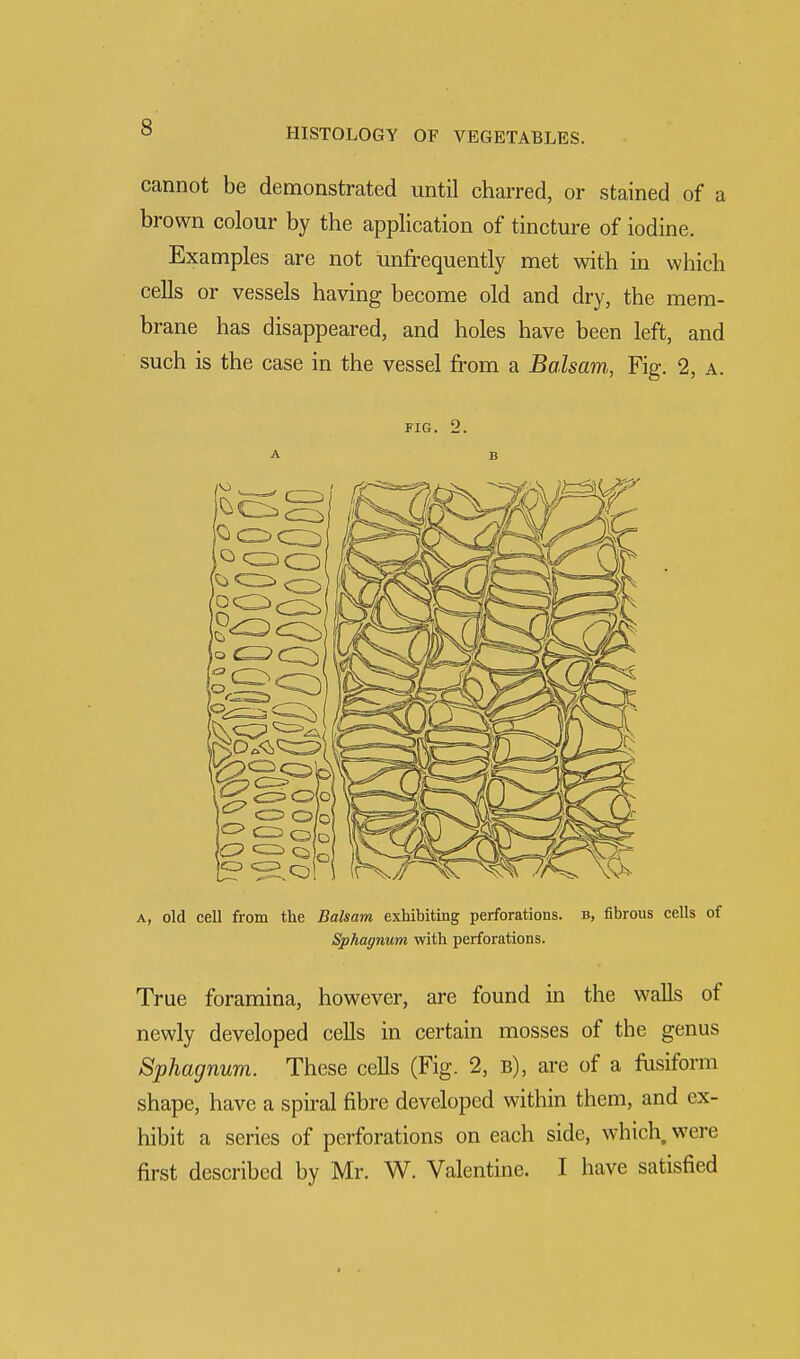 cannot be demonstrated until charred, or stained of a brown colour by the application of tincture of iodine. Examples are not unfrequently met with in which cells or vessels having become old and dry, the mem- brane has disappeared, and holes have been left, and such is the case in the vessel from a Balsam, Fig. 2, a. FIG. U. a, old cell from the Balsam exhibiting perforations, b, fibrous cells of Sphagnum with perforations. True foramina, however, are found in the walls of newly developed cells in certain mosses of the genus Sphagnum. These cells (Fig. 2, b), are of a fusiform shape, have a spiral fibre developed within them, and ex- hibit a series of perforations on each side, which, were first described by Mr. W. Valentine. I have satisfied