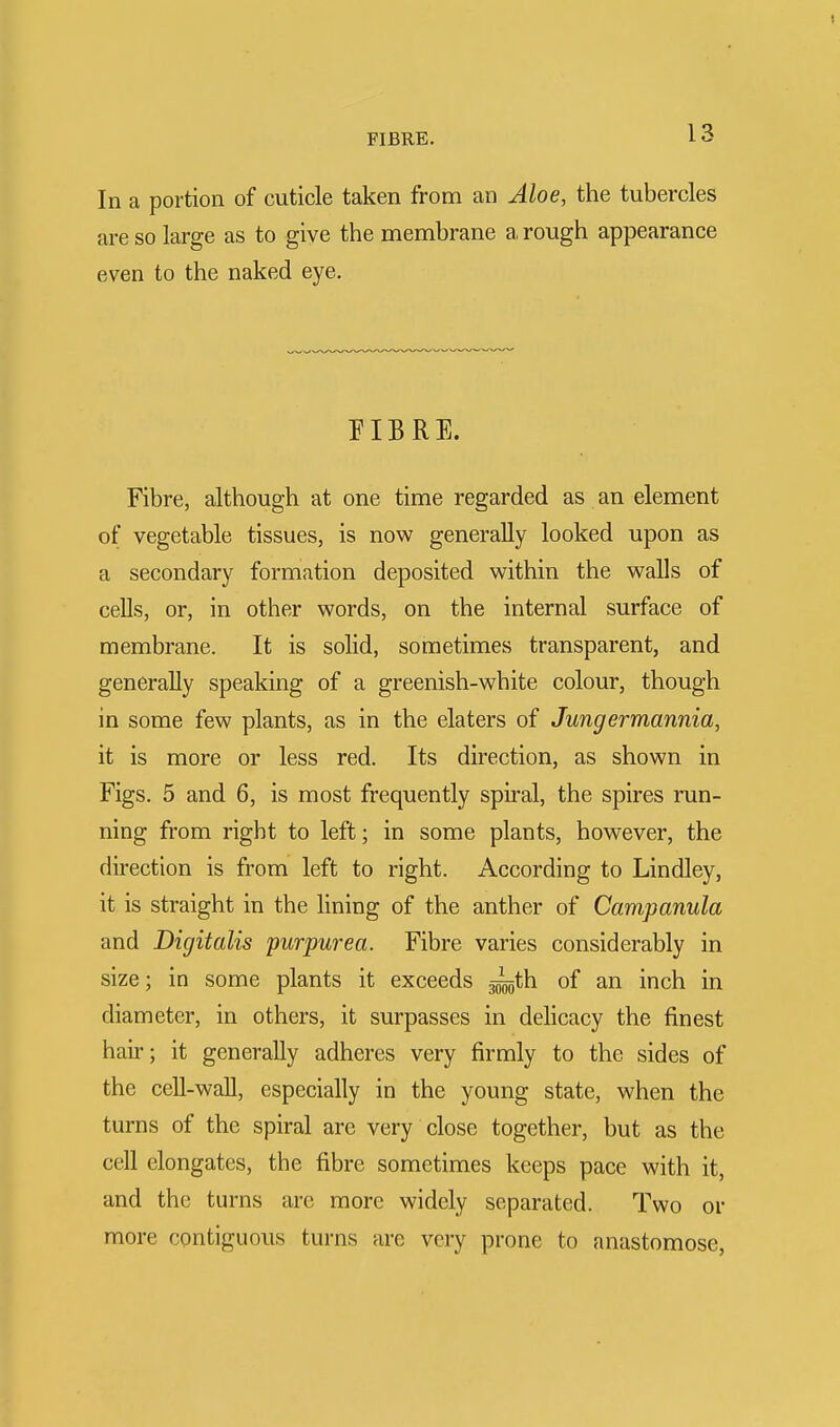 In a portion of cuticle taken from an Aloe, the tubercles are so large as to give the membrane a, rough appearance even to the naked eye. FIBRE. Fibre, although at one time regarded as an element of vegetable tissues, is now generally looked upon as a secondary formation deposited within the walls of cells, or, in other words, on the internal surface of membrane. It is solid, sometimes transparent, and generally speaking of a greenish-white colour, though in some few plants, as in the elaters of Jungermannia, it is more or less red. Its direction, as shown in Figs. 5 and 6, is most frequently spiral, the spires run- ning from right to left; in some plants, however, the direction is from left to right. According to Lindley, it is straight in the lining of the anther of Campanula and Digitalis purpurea. Fibre varies considerably in size; in some plants it exceeds -^th of an inch in diameter, in others, it surpasses in delicacy the finest hair; it generally adheres very firmly to the sides of the cell-wall, especially in the young state, when the turns of the spiral are very close together, but as the cell elongates, the fibre sometimes keeps pace with it, and the turns are more widely separated. Two or more contiguous turns are very prone to anastomose,