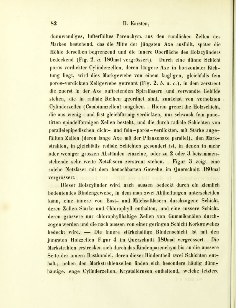 dünnwandiges, luflerfülltes Parenchym, aus den rundlichen Zellen des Markes bestehend, das die Mitte der jüngsten Axe ausfüllt, später die Höhle derselben begrenzend und die innere Oberfläche des Holzcylinders bedeckend (Fig. 2. a. ISOmal vergrössert). Durch eine dünne Schicht porös verdickter Cylinderzellen, deren längere Axe in horizontaler Rich- tung liegt, wird dies Markgewebe von einem kugligen, gleichfalls fein porös-verdickten Zellgewebe getrennt (Fig. 2. b. u. c), in dem zerstreut die zuerst in der Axe auftretenden Spiralfasern und verwandte Gebilde stehen, die in radiale Reihen geordnet sind, zunächst von verholzten Cylinderzellen (Cambiumzellen) umgeben. Hieran grenzt die Holzschicht, die aus wenig- und fast gleichförmig verdickten, nur schwach fein punc- tirten spindelförmigen Zellen besteht, und die durch radiale Schichten von parallelepipedischen dicht- und fein-porös-verdickten, mit Stärke ange- füllten Zellen (deren lange Axe mit der Pflanzenaxe parallel), den Mark- strahlen, in gleichfalls radiale Schichten gesondert ist, in denen in mehr oder weniger grossen Abständen einzelne, oder zu 2 oder 3 beisammen- stehende sehr weite Netzfasern zerstreut stehen. Figur 3 zeigt eine solche Netzfaser mit dem benachbarten Gewebe im Querschnitt ISOmal vergrössert. Dieser Holzcylinder wird nach aussen bedeckt durch ein ziemlich bedeutendes Rindengewebe, in dem man zwei Abtheilungen unterscheiden kann, eine innere von Bast- und Milchsaftfasern durchzogene Schicht, deren Zellen Stärke und Chlorophyll enthalten, und eine äussere Schicht, deren grössere nur chlorophyllhaltige Zellen von Gummikanälen durch- zogen werden und die nach aussen von einer geringen Schicht Korkgewebes bedeckt wird. — Die innere stärkehaltige Rindenschicht ist mit den jüngsten Holzzellen Figur 4 im Querschnitt ISOmal vergrössert. Die Markstrahlen erstrecken sich durch das Rindenparenchym bis an die äussere Seite der Innern Bastbündel, deren dieser Rindentheil zwei Schichten ent- hält; neben den Markstrahlenzellen finden sich besonders häufig dünn- häutige, enge Cylinderzellen, Krystalldrusen enthaltend, welche letzlere