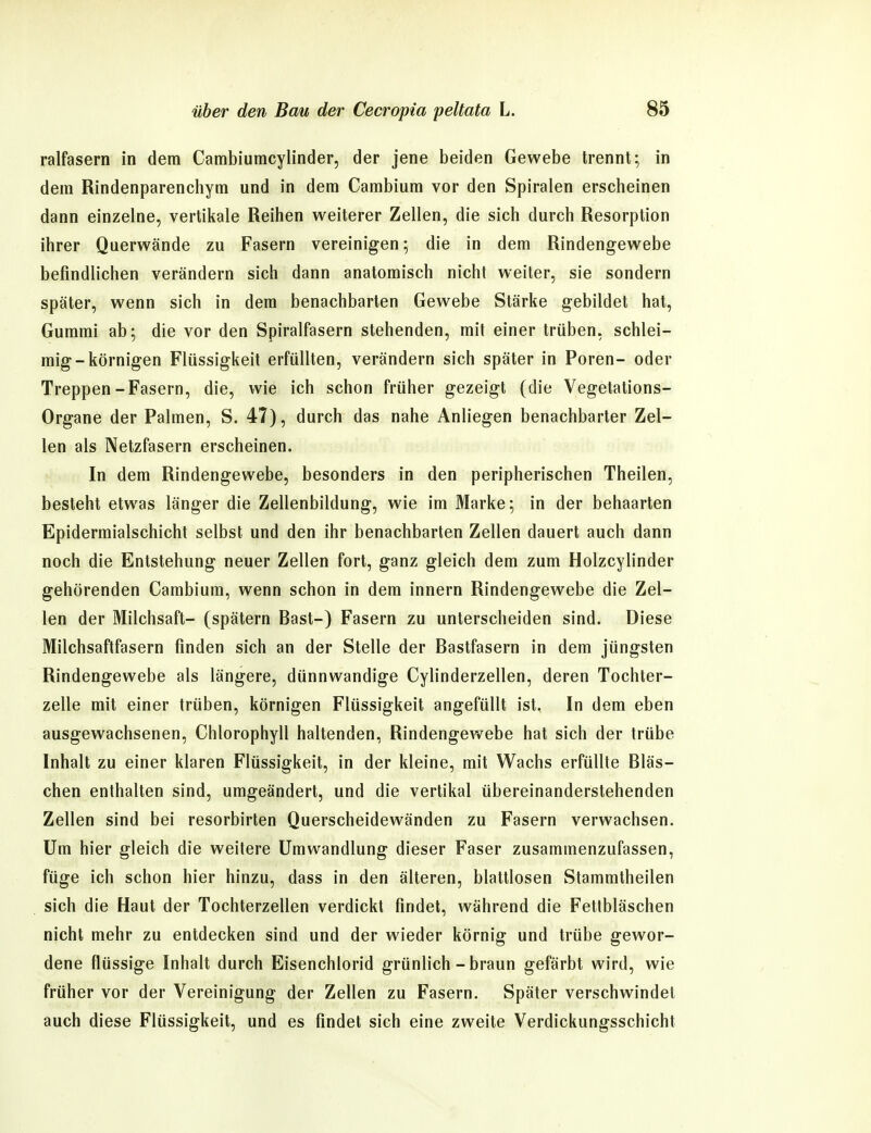 raifasern in dem Cambiumcylinder, der jene beiden Gewebe trennt; in dem Rindenparenchym und in dem Cambium vor den Spiralen erscheinen dann einzelne, vertikale Reihen weiterer Zellen, die sich durch Resorption ihrer Querwände zu Fasern vereinigen; die in dem Rindengewebe befindlichen verändern sich dann anatomisch nicht weiter, sie sondern später, wenn sich in dem benachbarten Gewebe Stärke gebildet hat, Gummi ab; die vor den Spiralfasern stehenden, mit einer trüben, schlei- mig-körnigen Flüssigkeit erfüllten, verändern sich später in Poren- oder Treppen-Fasern, die, wie ich schon früher gezeigt (die Vegetations- Organe der Palmen, S. 47), durch das nahe Anliegen benachbarter Zel- len als Netzfasern erscheinen. In dem Rindengewebe, besonders in den peripherischen Theilen, besteht etwas länger die Zellenbildung, wie im Marke; in der behaarten Epidermialschicht selbst und den ihr benachbarten Zellen dauert auch dann noch die Entstehung neuer Zellen fort, ganz gleich dem zum Holzcylinder gehörenden Cambium, wenn schon in dem Innern Rindengewebe die Zel- len der Milchsaft- (spätem Bast-) Fasern zu unterscheiden sind. Diese Milchsaflfasern finden sich an der Stelle der Bastfasern in dem jüngsten Rindengewebe als längere, dünnwandige Cylinderzellen, deren Tochter- zelle mit einer trüben, körnigen Flüssigkeit angefüllt ist, In dem eben ausgewachsenen, Chlorophyll haltenden, Rindengewebe hat sich der trübe Inhalt zu einer klaren Flüssigkeit, in der kleine, mit Wachs erfüllte Bläs- chen enthalten sind, umgeändert, und die vertikal übereinanderstehenden Zellen sind bei resorbirten Querscheidewänden zu Fasern verwachsen. Um hier gleich die weitere Umwandlung dieser Faser zusammenzufassen, füge ich schon hier hinzu, dass in den älteren, blattlosen Stammtheilen sich die Haut der Tochterzellen verdickt findet, während die Fetlbläschen nicht mehr zu entdecken sind und der wieder körnig und trübe gewor- dene flüssige Inhalt durch Eisenchlorid grünlich - braun gefärbt wird, wie früher vor der Vereinigung der Zellen zu Fasern. Später verschwindet auch diese Flüssigkeit, und es findet sich eine zweite Verdickungsschicht