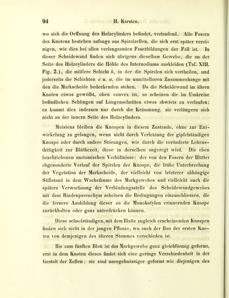 wo sich die Oeffnung des Holzcylinders befindet, verlaufend. Alle Fasern des Knotens bestehen anfangs aus Spiralzellen, die sich erst später verei- nigen, wie dies bei allen verlangsamten Faserbildungen der Fall ist. In dieser Scheidewand finden sich übrigens dieselben Gewebe, die an der Seite des Holzcylinders die Höhle des Internodiums auskleiden (Taf. XHI. Fig. 2.), die mittlere Schicht 6, in der die Spiralen sich verlheilen, und jederseits die Schichten c u. a, die im unmittelbaren Zusammenhange mit den die Markscheide bedeckenden stehen. Da die Scheidewand im altern Knoten etwas gewölbt, oben convex ist, so scheinen die im Umkreise befindlichen Schlingen auf Längenschnitten etwas abwärts zu verlaufen; es kommt dies indessen nur durch die Krümmung, sie verlängern sich nicht an der Innern Seite des Holzcylinders. Meistens bleiben die Knospen in diesem Zustande, ohne zur Ent- wickelung zu gelangen, wenn nicht durch Verletzung der gipfelständigen Knospe oder durch andere Störungen, wie durch die veränderte Lebens- thätigkeit zur Blüthezeit, diese in derselben angeregt wird. Die eben beschriebenen anatomischen Verhältnisse: der von den Fasern der Blätter abgesonderte Verlauf der Spiralen der Knospe, die frühe Unterbrechung der Vegetation der Markscheide, der vielleicht von letzterer abhängige Stillstand in dem Wachsthume des Markgewebes und vielleicht auch die spätere Verwachsung der Verbindungsstelle des Scheidewandgewebes mit dem Rindenparenchym scheinen die Bedingungen einzuschliessen, die die fernere Ausbildung dieser an die Monokotylen erinnernden Knospe zurückhalten oder ganz unterdrücken können. Diese achselständigen, mit dem Blatte zugleich erscheinenden Knospen finden sich nicht in der jungen Pflanze, wo auch der Bau der ersten Kno- ten von demjenigen des älteren Stammes verschieden ist. Bis zum fünften Blatt ist das Markgewebe ganz gleichförmig geformt, erst in dem Knoten dieses findet sich eine geringe Verschiedenheil in der Gestalt der Zellen; sie sind unregelmässiger geformt wie diejenigen des