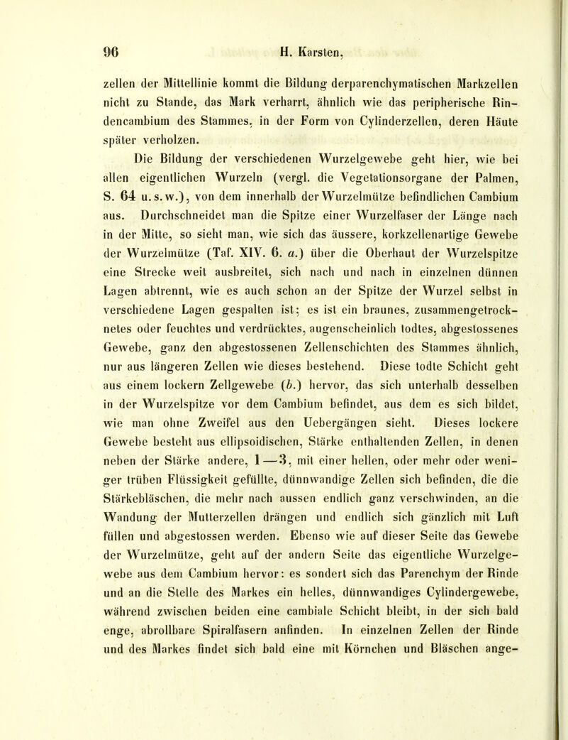 Zellen der Mittellinie kommt die Bildung derparenehymatischen Markzellen nicht zu Stande, das Mark verharrt, ähnlich wie das peripherische Rin- dencambium des Stammes, in der Form von Cylinderzellen, deren Häute später verholzen. Die Bildung der verschiedenen Wurzelgewebe geht hier, wie bei allen eigentlichen Wurzeln (vergl. die Vegetalionsorgane der Palmen, S. 64 U.S.W.), von dem innerhalb der Wurzelmülze befindlichen Cambium aus. Durchschneidet man die Spitze einer Wurzelfaser der Länge nach in der Mitte, so sieht man, wie sich das äussere, korkzellenartige Gewebe der Wurzelmütze (Taf. XIV. 6. a.) über die Oberhaut der Wurzelspitze eine Strecke weit ausbreitet, sich nach und nach in einzelnen dünnen Lagen abtrennt, wie es auch schon an der Spitze der Wurzel selbst in verschiedene Lagen gespalten ist; es ist ein braunes, zusammengetrock- netes oder feuchtes und verdrücktes, augenscheinlich todtes. abgestossenes Gewebe, ganz den abgestossenen Zellenschichten des Stammes ähnlich, nur aus längeren Zellen wie dieses bestehend. Diese todte Schicht geht aus einem lockern Zellgewebe (b.) hervor, das sich unterhalb desselben in der Wurzelspitze vor dem Cambium befindet, aus dem es sich bildet, wie man ohne Zweifel aus den Uebergängen sieht. Dieses lockere Gewebe besteht aus ellipsoidischen, Stärke enthaltenden Zellen, in denen neben der Stärke andere, 1—3. mit einer hellen, oder mehr oder weni- ger trüben Flüssigkeit gefüllte, dünnwandige Zellen sich befinden, die die Stärkebläschen, die mehr nach aussen endlich ganz verschwinden, an die Wandung der Mutterzellen drängen und endlich sich gänzlich mit Luft füllen und abgestossen werden. Ebenso wie auf dieser Seite das Gewebe der Wurzelmütze, geht auf der andern Seite das eigentliche Wurzelge- webe aus dem Cambium hervor: es sondert sich das Parenchym der Rinde und an die Stelle des Markes ein helles, dünnwandiges Cylindergewebe, während zwischen beiden eine cambiale Schicht bleibt, in der sich bald enge, abrollbare Spiralfasern anfinden. In einzelnen Zellen der Rinde und des Markes findet sich bald eine mit Körnchen und Bläschen ange-