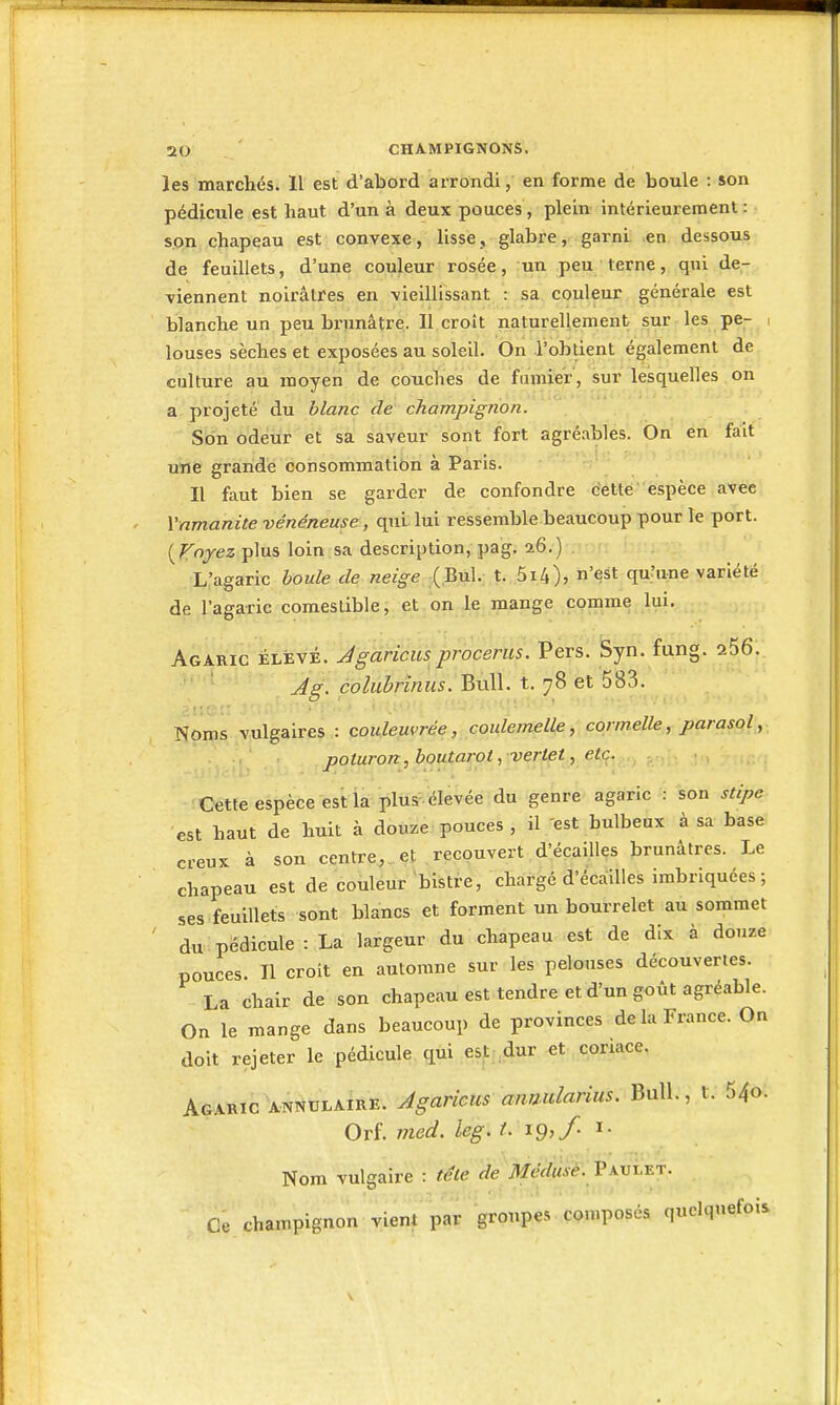 les marchés. 11 est d'abord arrondi, en forme de boule : son pédicule est haut d'un à deux pouces, plein intérieurement: son chapeau est convexe, lisse, glabre, garni en dessous de feuillets, d'une couleur rosée, un peu terne, qui de- viennent noirâtres en vieillissant : sa couleur générale est blanche un peu brunâtre. 11 croît naturellement sur les pe- i louses sèches et exposées au soleil. On l'obtient également de culture au moyen de couches de finnie'r', sur lesquelles on a projeté du blanc de champignon. Son odeur et sa saveur sont fort agréables. On en fait une grande consommation à Paris. Il faut bien se garder de confondre cette espèce avec Vnmanite vénéneuse, qiù lui ressemble beaucoup pour le port, (fojez plus loin sa description, pag. 26.) L'agaric houle de neige (Bul. t. 5i4), n'est qu'une variété de l'agaric comestible, et on le mange comme lui. Agaric élevé. Jgaricusproceriis. Pers. Syn. fung. ^56. Jg. colubrînus. Bull. t. 78 et 583. Noms vulgaires : couleuvrée, coulemelle, cormelle, parasol, poluron, boutarot , veriet, etc. Cette espèce est la pluï élevée du genre agaric : son stipe est haut de huit à douze pouces , il 'est bulbeux à sa base creux à son centre,_et recouvert d'écaillés brunâtres. Le chapeau est de couleur bistre, chargé d'écaillés imbriquées ; ses feuillets sont blancs et forment un bourrelet au sommet ' du pédicule : La largeur du chapeau .est de dix à douze pouces. Il croit en automne sur les pelouses découvertes. La chair de son chapeau est tendre et d'un goût agréable. On le mange dans beaucoup de provinces de la France. On doit rejeter le pédicule qui est dur et coriace. Agaric ANNULAIRE. Jgaricus annularius, Bull., i. 54o. Orf. med. kg. t. 19,/ i- Nom vulgaire : téle de Médusl\ Paulet. Ce champignon vient par groupes composés quelquefois