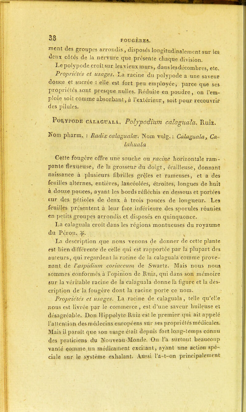 ^'O rOCGÈRES. ment des groupes arrondis , disposés longitudinalomcnt sur len deux Gôlés de la nervure que présente chaque division. Lepolypode croîtsur le&vieuxmurs, dans les décombres, etc. Propriétés et usages. La racine du polypode a une saveur douce et sucrée : elle est fort peu employée, parce que ses propriélés sont presque nulles. Réduile en poudre, on l'em- ploie soit comme absorbant, à l'extérieur, soit pour recouvrir des pilules. Poi,YPoi>Ê CALAGUALA. Polfpodtiiim calaguala. Ruiz. Nom pliarm, : Radix calagualce. Nom vulg. : Calaguala, Ca- lahuala Cette fougère offre une souche ou racine horizontale ram- pante flexueuse, de la grosseur du doigt, écailleuse, donnant naissance à plusieurs fibrilles grêles et rameuses, et a des feuilles alternes, entières, lancéolées, étroites, longues de huit à douze pouces, ayant les bords réfléchis en dessous et portées sur des pétioles de deux à trois pouces de longueur. Les feuilles présentent à leur face inférieure des sporules réunies en j)Otils groupes arrondis et disposés en quinquonce. La calaguala çroît dans les régions naontueuses du royaume du Péi'on. ^. ^ La descrijition que nous venons de donner de cette plante est bien différente de celle qui est rapportée par la plupart des auleurs, qui regardent la racine de la calaguala comme prove- nant de Vaspidiuin coriaceum de Swariz. Mais nous noui sommes conformés à l'opinion de Ruiz, qui dans son mémoire sur la véritable racine de la calaguala donne la figure et la des- cription de la fougère dont la racine porte ce nom. Propriétés et usages. La racine de calaguala, telle qu'elle nous est livrée par le commerce , est d'une saveur huileuse et désagréable. Don Hii)polyte Ruiz est le premier qui ait appelé l'atlcnlion des médecins européens sur ses propriélés médicales. Mais il paraît que son iiaage élail depuis fort long-temps connu des praticiens du Nouveau-Monde. Ou l'a surtout beaucoup vanté (jomine tan médicament excitant, ayant une action spé- ciale sur ie système exhalant. A-ùssi l'a-^t-on principalement