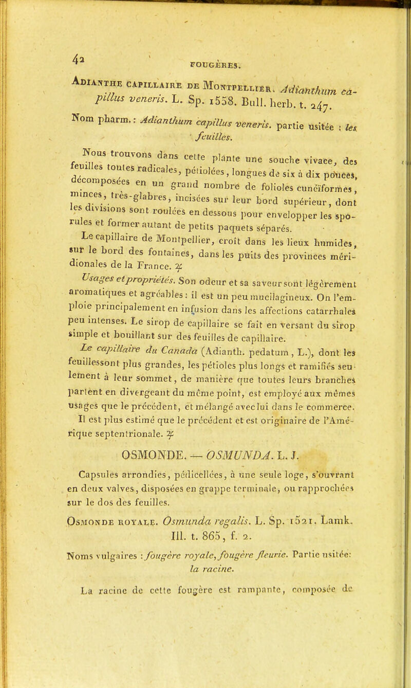 um tà- 4a ADlAJfTHE CAPILLAIRE DE MONTPELLIER. Adiamhlun pillus veneris. L. Sp. i558. Bull. herb. t. 247. Nom pharm.: Adianthum capillus veneris. partie usitée : le. feuilles. Nous trouvons dans celte plante une souche vivace, de, femlles toutes radicales, pé.iolées, longues de six à dix po^uce., décomposées en un grand nombre de folioles cunéiformes, minces, tres-glabres, incisées sur leur bord supérieur, dont les divisions sont ronlées en dessous i,our envelopper les spo- rules et former autant de petits paquets séparés Le capillaire de Montpellier, croît dans les lieux humides, «ur le bord des fontaines, dans les puits des provinces méri- dionales de la France. ^ Usages et propriétés. Son odeur et sa saveur sont légèrement aromatiques et agréables; il est un peumucilagineux. On l'em- ploie principalement en infusion dans les affections catarrhalea peu intenses. Le sirop de capillaire se fait en versant du sirop simple et bouillant sur des feuilles de capillaire. ' Le capillaire du Canada (Adianth. pedatura, L.), dont les feuillessont plus grandes, les pétioles plus longs et ramifiés seu- lement à leur sommet, de manière que toutes leurs biancîiei parlent en divergeant du même point, est employé aux mêmes usages que le précédent, et mélangé aveclui dans le commerce. Il est ])lus estimé que le précédent et est originaire de l'Amé- rique septenlrionale. ^ OSMONDE. — OSMUNDA. L. J. Capsules arrondies, pédiccllées, à une seule loge, s'ouviMnl en deux valves, disposées en grappe terminale, ou rapprochées sur le dos des feuilles. OsMONDE ROYALE. Osmiuida regalis. L. Sp. iSai. Lamk. m. t. 865, f. 2. Noms vulgaires : fougère royale, fougère fleurie. Partie usitée: la racine. La racine do cette fougère est rampante, composée de