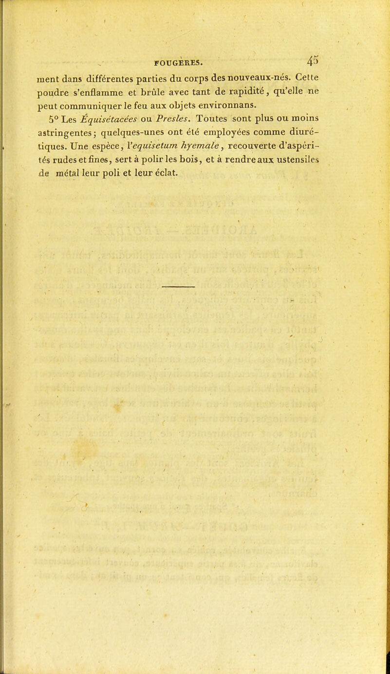 ment dans différentes parties du corps des nouveaux-nés. Cette poudre s'enflamme et brûle avec tant de rapidité, qu'elle ne peut communiquer le feu aux objets environnans. 5° Les Équisétacées ou Presles. Toutes sont plus ou moins astringentes; quelques-unes ont été employées comme diuré- tiques. Une espèce, l'equisetum hyemale, recouverte d'aspéri- tés rudes et fines, sert à polir les bois, et à rendre aux ustensiles de métal leur poli et leur éclat.