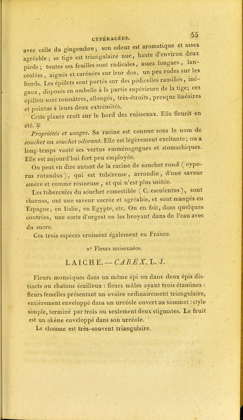 CYPÉRACÉES. '^^ avec celle du gingembre; son odeur est aromatique et assez agréable; sa tige est triangulaire nue, haute d environ deux pieds; toutes ses feuilles sont radicales, assez longues , lan- céolées, aiguës et carénées sur leur dos, un peu rudes sur les bords. Les épillets sont portés sur des pédicelles ramifies, iné- gaux , disposés en ombelle à la partie supérieure de la tige; ces épillets sontroussâtres, allongés, très-étroits, presque linéaires et pointus à leurs deux extrémités. Cette plante croît sur le bord des ruisseaux. Elle fleurit en été. :^ -Propriétés et usages. Sa racine est connue sous le. nom de soucket ou souchet odorant. Elle est légèrement excitante ; on a long-temps vanté ses vertus emménagogues et stomachiques. Elle est aujourd'hui fort peu employée. On peut en dire autant de la racine de souchet rond ( cype- rus rotundus ), qui est tubéreuse , arrondie , d'une saveur araère et comme résineuse , et qui n'est plus usitée. Les tubercules du souchet comestible ( C. esculentus ), sont charnus, ont une saveur sucrée et agréable, et sont mangés en Espagne, en Ilalie, en Egypte, elc. On en fait, dans quelques contrées, une sorte d'orgeat en les broyant dans de l'eau avec du sucre. Ces trois espèces croissent également en France. a» Fleurs unisexuées. LAICRE.—CJ RE X.L.^L Fleurs monoïques dans un même épi ou dans deux épis dis- tincts ou chatons écailleux : fleurs mâles ayant trois étamines : fleurs femelles présentant un ovaire ordinairement triangulaire, entièrement enveloppe dans un urcéole ouvertau sommet :style simple, terminé par trois ou seulement deux stigmates. Le fruit est un akène enveloppé dans son urcéole. Le chaume est très-souvent triangulaire.