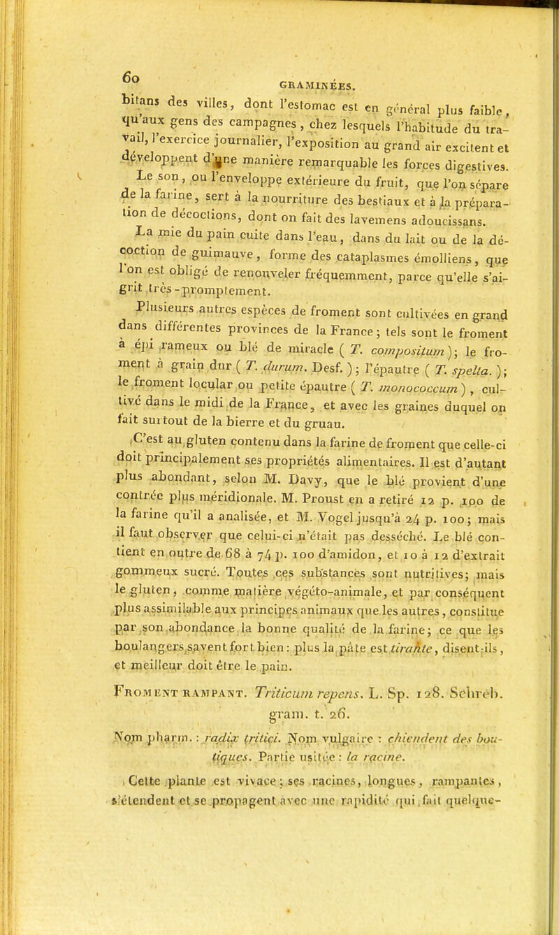 bitans de, villes, dont l'estomac est en général plus faible, quaux gens des campagnes , chez lesquels l'habitude du tra- vail, l'exercice journalier, l'exposition au grand air excitent et dpelo^pperit d'^ne manière remarquable les forces digestives. Le .son, ,ou l'enveloppe extérieure du fruit, que l'on sôpare de la farine, sert à la nourriture des bestiaux et à^a prppara- Hon de décodions, dont on fait des lavemens adoucissans. La mie du pain cuite dans l'eau, dans du lait ou de la dé- cochon de guimauve, forme des cataplasmes émolliens, qup 1 on est obligé de renoi^veler fréquemment, parce qu'elle s'ai- grit très-promplement. Plusieurs autres espèces de froment sont cultivées en grand dans différentes provinces de la France ; tels sont le froment à éj)i .rameux ou blé de miracle ( T. compositum); le fro- ment à grain dur ( T. Desf. ) j l'épautre ( T. spelta. ); le froment locular ou j>etite épautre ( T. mpnocoççum), cul- tivé dans le midi de la France, et avec les graines duquel on fait suitout de la bierre et du gruau, fC'est au,gluten contenu dans la farine de froment que celle-ci doit principalement ses propriétés alimentaires. Il ^st d'autant plus abondant, selon M. Davy, que .le 4).lé .proviqn.t d'une contrée pliis méridionale. M. Proust en a retiré 12 p. ^po de la farine qu'il a analisée, et M. Vogel jusqu'à 24 p. 100; mais il faut ,obscrv,er que celui-ci n'était pas desséché. Le blé con- tient en.oijtrede 68 à y/,}). loo d'amidon, et io ? 1.2 d'extrait gommeux sucré. Tpute;s ,c,es substancé^s spnt nutritives; ,jnais le gluten, comme çialière vègéto-animale, et par conséquent .PlpSA?^ionl^l''6 aux principes animaux que les autres, conslitue .par ,son,abon4ance la bonne qualiu'; de la farine; ce que les bo.ulangers.sayentfortbien: pks la.pâte.est//raj^^^ disent^ils, çt meilleur doit être le pain. Fromknt RAMPANT. Tritlcuni repctis, L. Sp. 128. Schréh. grain, t. 26. Nom pharm. : jadix (riUçc. ^om vulgaire çhiendent des bou- fi^ues. Vpxiie usitée: la tytcine. , Celte plante est vivace; sçs racines, longuesrampantes, s'étendent et se .propagent avec une rapidité qui, fait quelque-