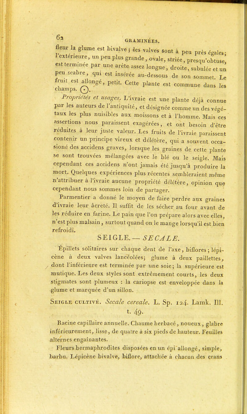 6a ' GRAMINEES. fleur la gW est bivalve 5 ^es valves sont à peu près égales; 1 extérieure, nn peu plus grande, ovale, striée, presqu'obtuse, est terminée par une arête assez longue, droite, subulée et un peu scabre qui est insérée au-dessous de son sommet. Le fruit est allongé, petit. Cette plante est commune dans les champs. Qj, Propriétés et usages, L'ivraie est une plante déjà connue par les auteurs de l'antiquité, et désignée comme un des végé- taux les plus nuisibles aux moissons et à l'homme. Mais ces assertions nous paraissent exagérées, et ont besoin d'être réduites à leur juste valeur. Les fruits de l'ivraie paraissent contenir un principe vireux et délétère, qui a souvent occa- sioné des accidens graves, lorsque les graines de cette plante se sont trouvées mélangées avec le blé ou le seigle. Mais cependant ces accidens n'ont jamais été jusqu'à produire la mort. Quelques expériences plus récentes sembleraient même n'attribuer à l'ivraie aucune propriété délétère, opinion que cependant nous sommes loin de partager. Parmentier a donné le moyen de faire perdre aux graines d'ivraie leur âcreté. Il suffit de les sécher au four avant de les réduire en farine. Le pain que l'on prépare alors avec elles, n'est plus malsain, surtout quand on le mange lorsqu'il est bien refroidi. SEIGLE.— Épillets solitaires sur chaque dent de l'axe, biflores ; lépi- cène à deux valves lancéolées; glume à deux paillettes, , dont l'inférieure est terminée par une soie; la supérieure est mutique. Les deux styles sont extrêmement courts, les deux stigmates sont plunieux : la cariopse est enveloppée dans la •glume et marquée d'un sillon. Seigle cultivé. Secale céréale. L. Sp. i24- Lanik. 111. t- 49- Racine capillaire annuelle. Chaume herbacé , noueux, glabre inférieurement, lisse, de quatre à six pieds de hauteur. Feuilles alternes engainantes. Fleurs hermaphrodiles disposées en un épi allongé, simple, barbu. Lépicène bivalve, biflorc, attachée à chacun des crans