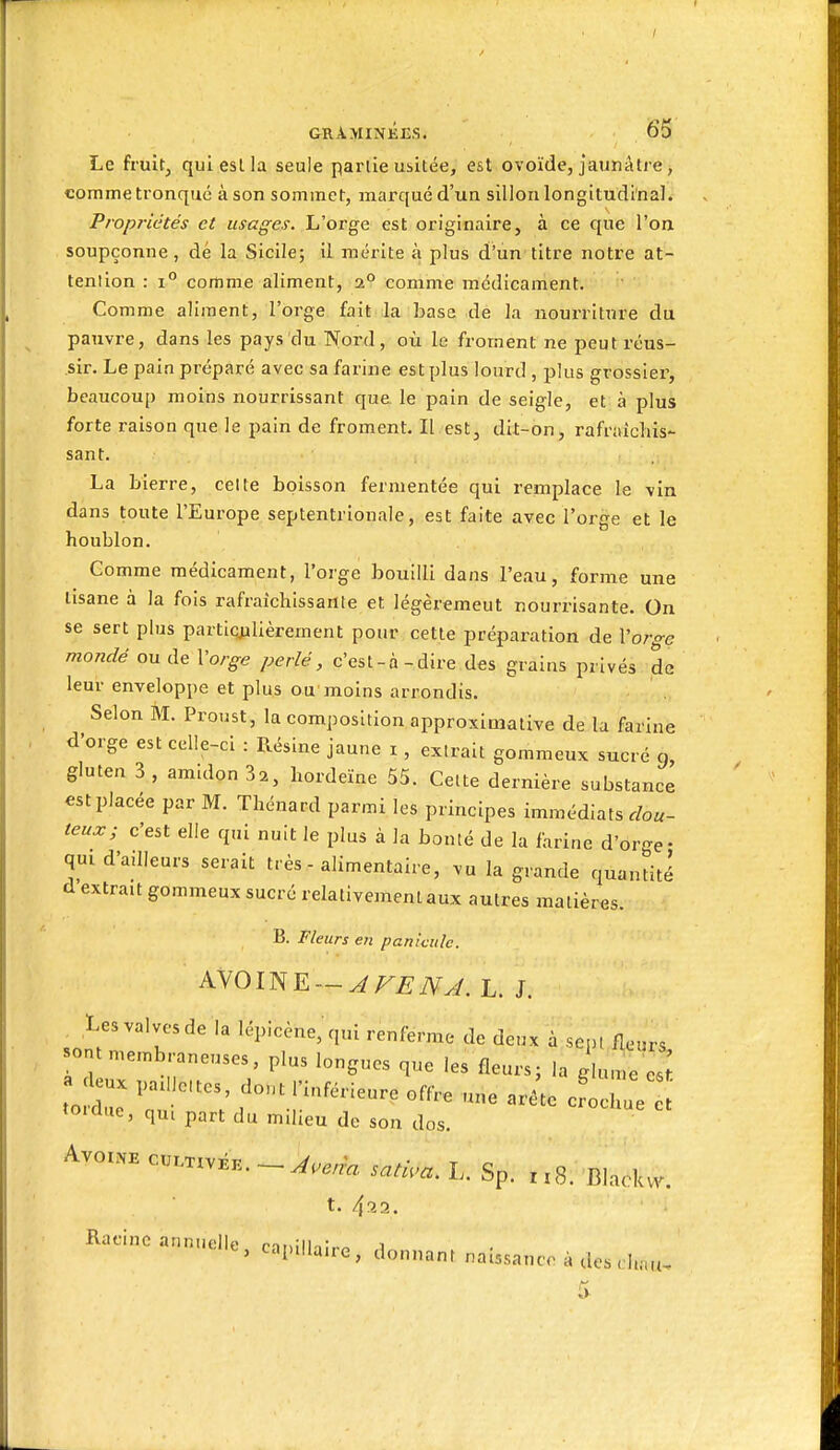 / GRAMINEES. 65 Le fruit, qui est la seule partie usitée, est ovoïde, jaunâtre, comme tronqué à son sommet, marqué d'un sillon longitudinal. Propriétés et usages. L'orge est originaire, à ce que l'on soupçonne , dé la Sicile; il mérite à plus d'un titre notre at- tention : 1° comme aliment, i° comme médicament. Comme aliment, l'orge, fait ;la base de la nourriture du pauvre, dans les pays du Nord, où le froment ne peut réus- sir. Le pain préparé avec sa farine est plus lourd , plus grossier, beaucoup moins nourrissant que le pain de seigle, et à plus forte raison que le pain de froment. Il est, dit-on, rafraîchis- sant. La bierre, celte boisson fermentée qui remplace le vin dans toute l'Europe septentrionale, est faite avec l'orge et le houblon. Gomme médicament, l'orge bouilli dans l'eau, forme une tisane à la fois rafraîchissante et légèremeut nourrisante. On se sert plus partiqjalièrement pour cette préparation de Vorge mondé ou de Vorge perlé, c'est-à-dire des grains privés de leur enveloppe et plus ou'moins arrondis. Selon M. Proust, la composition approximative de la farine d'orge est celle-ci : Résine jaune i, extrait gommeux sucré 9, gluten 3 , amidon 3:^, hordeïne 55. Cette dernière substance est placée par M. Thénard parmi les principes immédiats dou- teux; c'est elle qui nuit le plus à la boulé de la farine d'or-e- qmd'adleurs serait très - alimentaire, vu la grande quantité d extrait gommeux sucré relativement aux autres matières. B. Fleurs en paniculc. ANOmE — AFENJ. L. J. , Les valves de la lépicène, qui renferme de deux à sept fleurs sont membraneuses, plus longues que les fleurs; la gUune es^ .^^ux padOtes, dont l'inférieure offre une arête cLhue tordue, qu, part du milieu do son dos. Avor.B cu.xxv^K. sati.a. L. Sp. x.8. Blackw. t. /[ZH. Racine annuelle, caiiillniro 1^ captiiaue, donnant naissance à des chau-. 5^