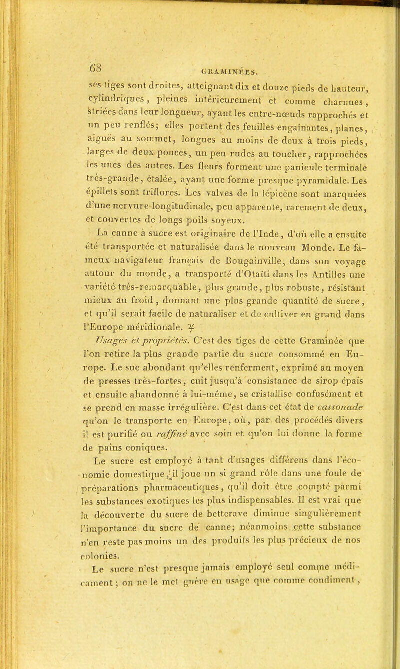 srs liges sont droites, atteignant dix et douze pieds de Lauleur, cylindriques, pleines intérieurement et comme charnues, Striées dans leur longueur, ayant les entre-nœuds rapprochés et un peu renfles; elles portent des feuilles engainantes, planes, aiguës au sommet, longues au moins de deux à trois pieds, larges de deux pouces, un peu rudes au toucher, rapprochées les unes des autres. Les fleurs forment une panicule terminale très-grande, étalée, ayant une forme prestpe pyramidale.Les cpillels sont Iriflores. Les valves de la lépicène sont marquées d'une nervure longitudinale, peu apparente, rarement de deux, et couvertes de longs poils soyeux. La canne à sucre est originaire de l'Inde, d'où elle a ensuite été transportée et naturalisée dans le nouveau Monde. Le fa- meux navigateur français de Bougaiilville, dans son voyage autour du monde, a transporté d'Otaïti dans les Antilles une variété très-re:narquable, plus grande, plus robuste, résistant mieux au froid, donnant une plus grande quantité de sucre, et qu'il serait facile de naturaliser et de cultiver en grand dans l'Europe méridionale. ^ Usages et propriétés. C'est des tiges de cette Graminée que l'on retire la plus grande partie du sucre consommé en Eu- rope. Le suc abondant qu'elles renferment, exprimé au moyen de presses très-fortes, cuit jusqu'à consistance de sirop épais et ensuite abandonné à lui-même, se cristallise confusément et se prend en masse irrégulière. C'est dans cet état de cassonade qu'on le transporte en Europe, où, par des procédés divcis il est purifié ou raffiné avec soin et qu'on lui donne la forme de pains coniques. Le sucre est employé à tant d'usages différens dans l'éco- nomie domestique ,|^il joue un si grand rôle dans une foule de préparations pharmaceutiques, qu'il doit être .compté parmi les substances exotiques les plus indispensables. II est vrai que la découverte du sucre de betterave diminue singulièrement l'importance du sucre de canne; néanmoins cette substance n'en reste pas moins un des produits les plus précieux de nos colonies. Le sucre n'est presque jamais employé seul com^ne médi- eamenl; on ne le met guère en usage que comme condiment,