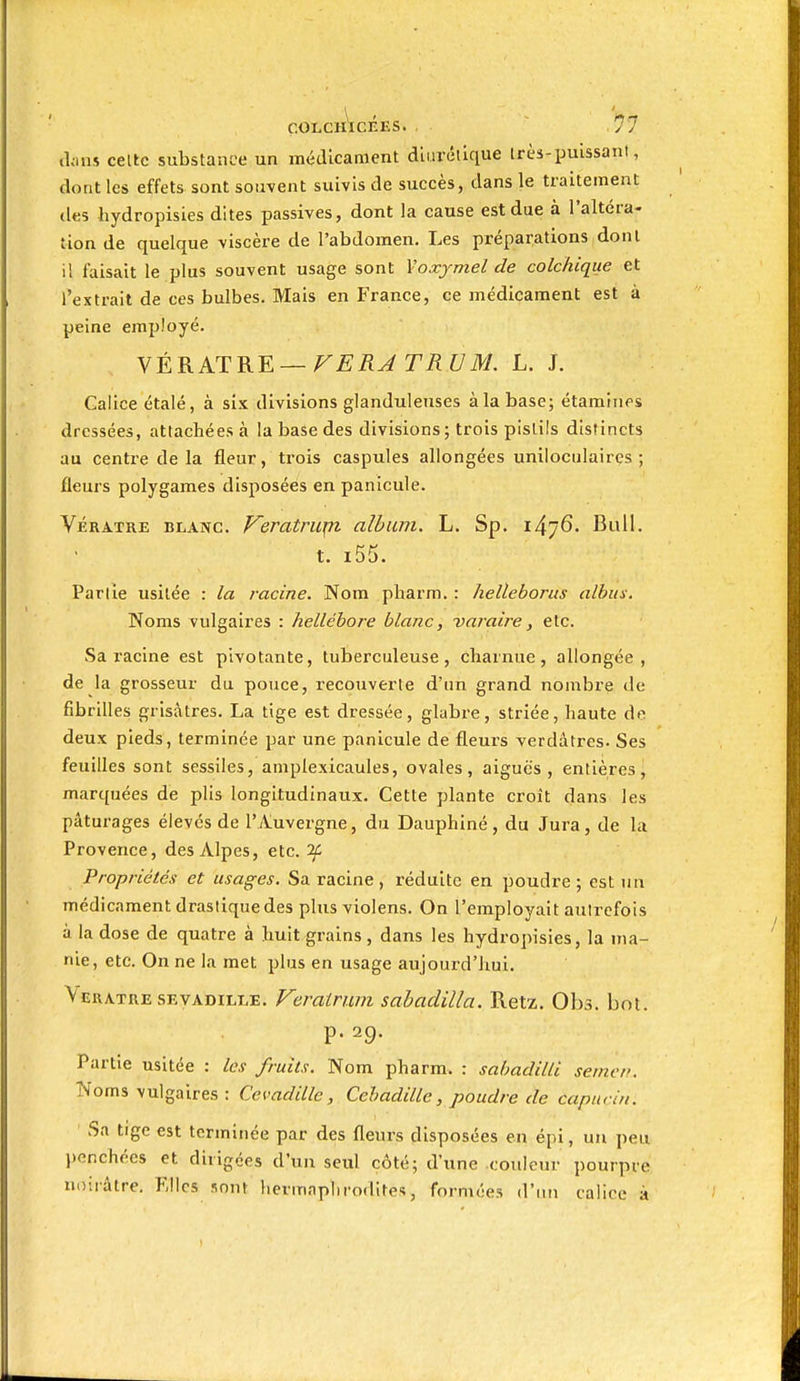 COLCHÎCÉES. ~ .Î77 tbns celte substance un médicament diurétique très-puissant, dont les effets sont souvent suivis de succès, dans le traitement des hydropisies dites passives, dont la cause est due à l'altéra- tion de quelque viscère de l'abdomen. Les préparations dont il faisait le plus souvent usage sont Voxjmel de colchique et l'extrait de ces bulbes. Mais en France, ce médicament est à peine employé. Galice étalé, à six divisions glanduleuses à la base; étaminps dressées, attachées à la base des divisions; trois pistils distincts au centre de la fleur, trois caspules allongées uniloculaires ; fleurs polygames disposées en panicule. Vératre blanc. Feratrupi album. L. Sp. 1476. Bull. t. i55. Parlie usitée : la racine. Nom pharm. : helleborus alhiis. Noms vulgaires : hellébore blanc, varaire, etc. Sa racine est pivotante, tuberculeuse, cliarniie, allongée, de la grosseur du pouce, recouverte d'un grand nombre de fibrilles grisâtres. La tige est dressée, glabre, striée, haute do deux pieds, terminée par une panicule de fleurs verdâtres. Ses feuilles sont sessiles, amplexicaules, ovales, aiguës, entières, marquées de plis longitudinaux. Cette plante croît dans les pâturages élevés de l'Auvergne, du Dauphiné, du Jura, de la Provence, des Alpes, etc. 'if Propriétés et usages. Sa racine , réduite en poudre ; est un médicament drastique des phis violens. On l'employait aulrcfois à la dose de quatre à huit grains , dans les hydropisies, la ma- nie, etc. On ne la met plus en usage aujourd'hui. Veratue SF.vADiLLE. Veratrwn sahadilla. Retz. Obs. bot. p. 29. Partie usitée : les fruits. Nom pharm. : sabadilli semci'. Noms vulgaires : CevadiUe, Cebadille, poudre de capnvin. Sa tige est terminée par des fleurs disposées en épi, un peu l)enchées et dirigées d'un seul côté; d'une couleur pourpre noirâtre. Elles sont hermaphrodites, formées d'un calice à