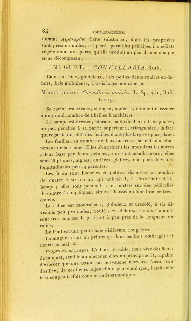 I 84 ASrARAGINÉES. nommé Asparagine. Cette substance , dont les propriétés sont presque nulles, est placée parmi les principes immédiats végéto-animaux, parce qu'elle produit un peu d'ammoniaque en se décomposant. WS^Q,\}Y.'l. — CON VALLARÎA. Roth. Calice urcéolé, globuleux, à six petites dents roulées en de- hors, baie globuleuse, à trois loges monospermes. Muguet dé mat. Convallaria maialis. L. Sp. 45i> Bull. t. 219. Sa racine est vivace, allongée, noueuse , donnant naissance à un grand nombre de fibrilles blanchâtres. La hampe est dressée, latérale, haute de deux à trois pouces, un peu penchée à sa partie supérieure, triangulaire, la face qui regarde du côté des feuilles étant plus large et plus ])lane. Les feuilles, au nombre de deux ou trois, partent immédia- tement de la racine. Elles s'engainent les unes dans les autres à leur base par leurs pétioles, qui sont membraneux; elles sont elliptiques, aiguës, entières, glabres, marquées de veines longitudinales peu apparentes. Les fleurs sont blanches et petites, disposées au nombre de quatre à six en un épi unilatéral, à l'extrémité de la hampe ; elles sont pendantes, et portées sur des pédicelles de quatre à cinq lignes, situés à l'aisselle d'une bractée très- courte. Le calice est monosépale, globuleux et urcéolé, à six di- visions peu profondes, roulées en dehors. Les six étamines sont très-courtes; le pistil est à peu près de la longueur du calice. Le fruit est une petite baie pisiforme, rougeâtre. Le muguet croit àu printemps dans les bois ombragés : il fleurit en mai. ^ Vropriétés et usages. L'odeur agréable, mais vive des fleurs de muguet, semble annoncer en elles un principe actif, capable d'exercer quelque action sur le système nerveux. Aussi l'eau distillée, de ces fleurs aujourd'hui peu employée, l'était-elle beaucoup autrefois comme antispasmodique.