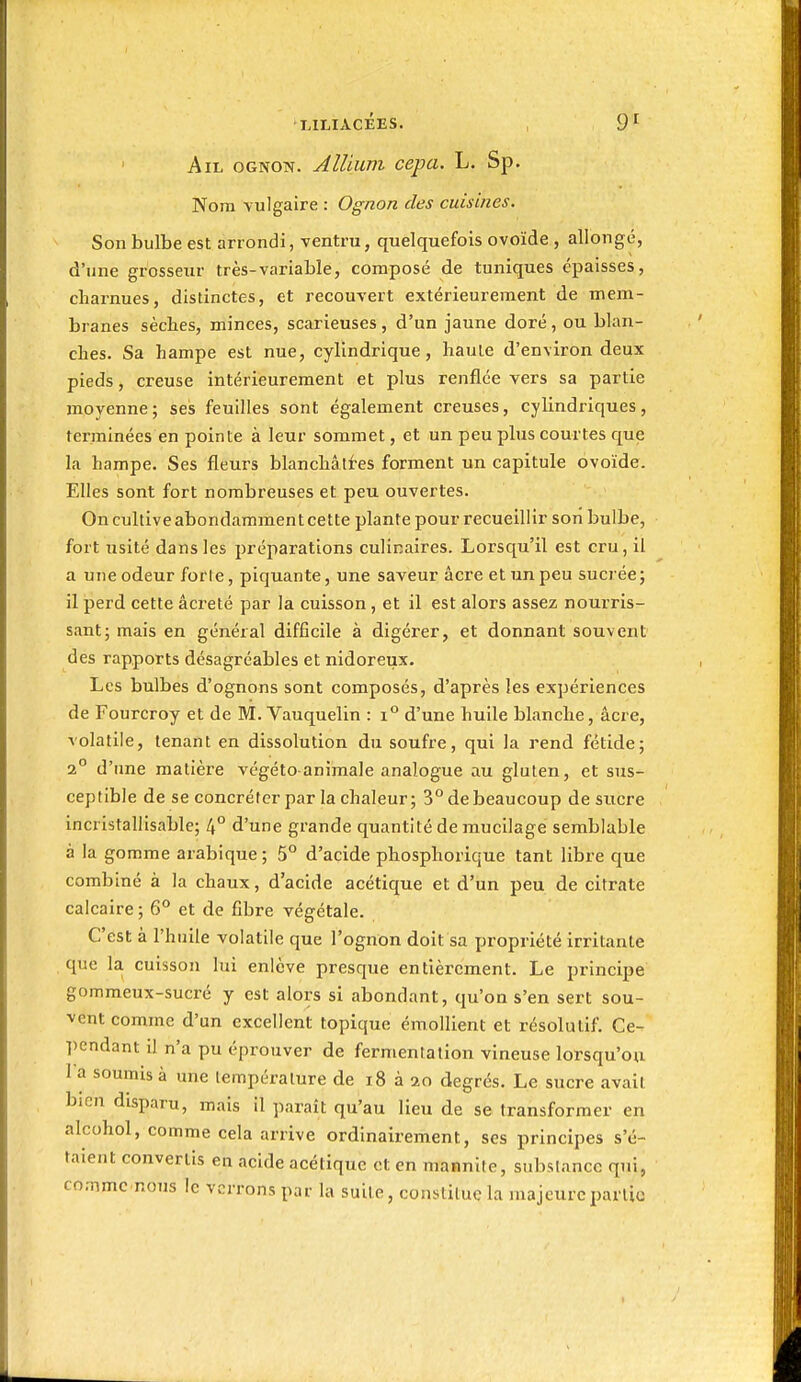 Ail ognon. Allium cepa. L. Sp. Nom vulgaire : Ognon des cuisines. Son bulbe est arrondi, ventru, quelquefois ovoïde , allongé, d'une grosseur très-variable, composé de tuniques épaisses, cliarnues, distinctes, et recouvert extérieurement de mem- branes sèches, minces, scarieuses, d'un jaune doré, ou blan- ches. Sa hampe est nue, cylindrique, haute d'environ deux pieds, creuse intérieurement et plus renflée vers sa partie moyenne; ses feuilles sont également creuses, cylindriques, terminées en pointe à leur sommet, et un peu plus courtes que la hampe. Ses fleurs blanchâtfes forment un capitule ovoïde. Elles sont fort nombreuses et peu ouvertes. On cultive abondamment cette plante pour recueillir son bulbe, fort usité dans les préparations culinaires. Lorsqu'il est cru, il a une odeur forle, piquante, une saveur acre et un peu sucrée; il perd cette âci'eté par la cuisson , et il est alors assez nourris- sant; mais en général difficile à digérer, et donnant souvent des rapports désagréables et nidoreux. Les bulbes d'ognons sont composés, d'après les expériences de Fourcroy et de M. Vauquelin : i° d'une huile blanche, acre, volatile, tenant en dissolution du soufre, qui la rend fétide; 2° d'nne matière végéto animale analogue au gluten, et sus- ceptible de se concréfer par la chaleur; 3° de beaucoup de sucre incristallisable; 4° d'une grande quantité de mucilage semblable à la gomme arabique ; 5° d'acide phosphorique tant libre que combiné à la chaux, d'acide acétique et d'un peu de citrate calcaire ; 6° et de fibre végétale. C'est à l'huile volatile que l'ognon doit sa propriété irritante que la cuisson lui enlève presque entièrement. Le principe gommeux-sucré y est alors si abondant, qu'on s'en sert sou- vent comme d'un excellent topique émollient et résolutif. Ce- pendant il n'a pu éprouver de fermentation vineuse lorsqu'on l a soumis à une température de i8 à 20 degrés. Le sucre avait bien disparu, mais il paraît qu'au lieu de se transformer en alcohol, comme cela arrive ordinairement, ses principes s'é- taient convertis en acide acétique et en mannile, substance qui, commcnous le verrons par la suite, constitue la majeure partie