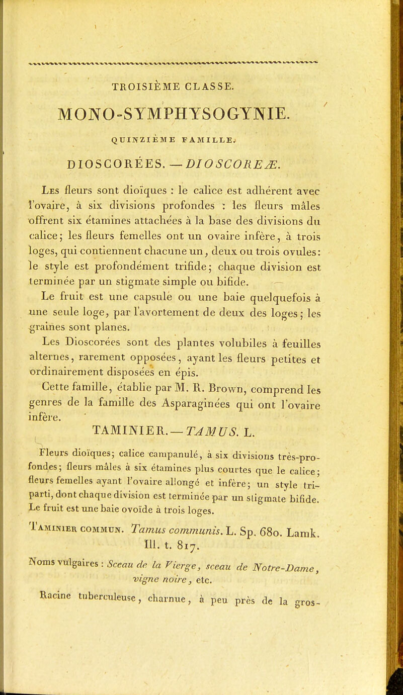 TROISIÈME CLASSE. MONO-SYMPHYSOGYNIE. QUINZIÈME FAMILLE.' DIOSCORÈES.—DIOSCOREJE. Les fleurs sont dioïques : le calice est adhérent avec î'ovaire, à six divisions profondes : les flenrs mâles offrent six étamines attachées à la base des divisions du calice ; les fleurs femelles ont un ovaire infère, à trois loges, qui contiennent chacune un, deux ou trois ovules: le style est profondément trifidej chaque division est terminée par un stigmate simple ou bifide. Le fruit est une capsulé ou une baie quelquefois à une seule loge, par l'avortement de deux des loges; les graines sont planes. Les Dioscorées sont des plantes volubiles à feuilles alternes, rarement opposées, ayant les fleurs petites et ordinairement disposées en épis. Cette famille, établie par M. R. Brown, comprend les genres de la famille des Asparaginées qui ont l'ovaire infère. TAMimER.— TJMUS.L. Fleurs dioïques; calice campanule, à six divisions très-pro- fondes ; fleurs mâles à six étamines plus comtes que le calice • fleurs femelles ayant l'ovaire allongé et infère; un style tri- parti, dont chaque division est terminée par un sligmale bifide. Le fruit est une baie ovoïde à trois loges. Taminier commun. Tamus communis. L. Sp. 680. Lamk m. t. 817. Noms vulgaires : Sceau de la Vierge, sceau de Notre-Dame, vigne noire, etc. Racine tuberculeuse, charnue, à peu près de la gros-