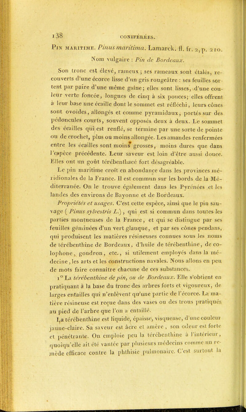 Pin maritime. Pinusmaritima. Lamarck. fl. fr, 2, p. 210. Nom vulgaire : Pin de Bordeaux. Son tronc est élevé, raineux ; ses rameaux sont étalés, re- couverts d'une écorce lisse d'un gris rougeàtre : ses feuilles sor tent par paire d'une même gaine; elles sont lisses, ^d'une cou- leur verte foncée, longues de cinq à six pouces; elles offrent à leur base une écaille dont le sommet est réfléchi, leurs cônes sont ovoïdes, allongés et comme pyramidaux, portés sur des pédoncules courts, souvent opposés deux à deux. Le sommet des écailles qui est renflé, se termine par une sorte de pointe ou de crochet, plus ou moins allongée. Les amandes renfermées entre les écailles sont moin* grosses, moins dures que dans l'espèce précédente. Leur saveur est loin d'être aussi douce. Elles ont un goût térébenthacé fort désagréable. Le j)in maritime croît en abondance dans les provinces mé- ridionales de la France. Il est commun sur les bords de la Mé- diterranée. On le trouve également dans les Pyrénées et les landes des environs de Bayonne et de Bordeaux. Propriétés el usages. C'est cette espèce, ainsi que le pin sau- vage ( Pinus sylvestris L.) , qui est si commun dans toutes les parties montueuses de la France, et qui se distingue par ses feuilles géminées d'un vert glauque, et par ses cônes pendans, qui produisent les matières résineuses connues sous les noms de térébenthine de Bordeaux, d'huile de térébenthine, de co- lophone , goudron, etc., si utilement employés dans la mé- decine , les arts et les constructions navales. Nous allons en peu de mots faire connaître chacune de ces substances. i La térébenthine de pin, ou de Bordeaux. Elle s'obtient en pratiquant à la base du tronc des arbres forts et vigoureux, de larges entailles qui n'enlèvent qir'une partie de l'écorce. La ma- tière résineuse est reçue dans des vases ou des trous i)ratiqués au pied de l'arbre que l'on a entaillé. l^a térébenthine est liquide, épaisse, visqueuse, d'une couleur jaune-claire. Sa saveur est acre et amère , son odeur est forte et pénétrante. On emploie peu la térébenthine à l'intérieur, (luoiqu'ellc ait été vantée par plusieurs médecins comme un re- mède efficace contre la phlhisic pulmonaire. C'est surtout la