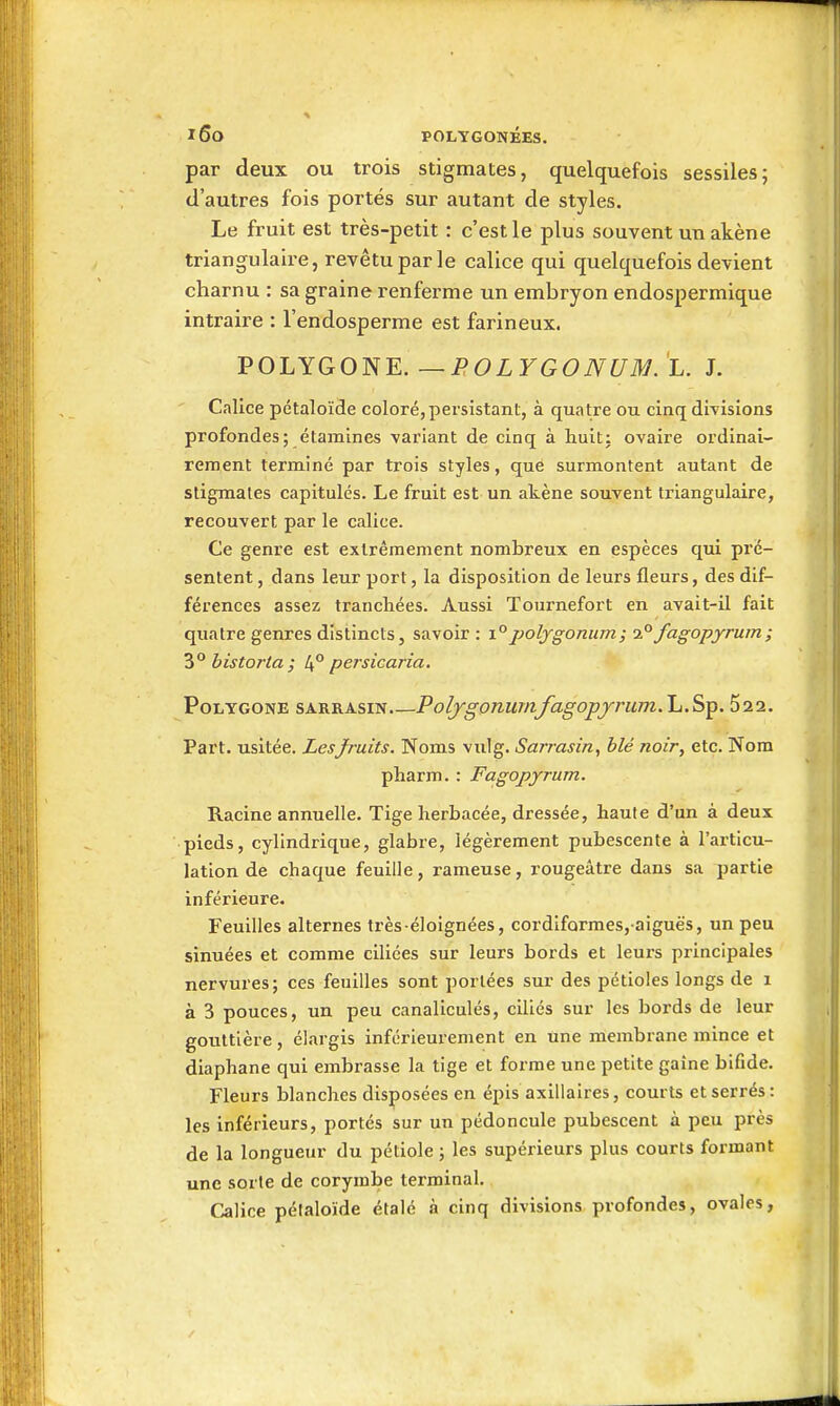 par deux ou trois stigmates, quelquefois sessiles; d'autres fois portés sur autant de styles. Le fruit est très-petit : c'est le plus souvent un akène triangulaire, revêtu par le calice qui quelquefois devient charnu : sa graine renferme un embryon endospermique intraire : l'endosperme est farineux. VOLYGONE. —JROLYGONUM. L. J. ' Calice pétaloïde coloré, persistant, à quatre ou cinq divisions profondes; étamines variant de cinq à huit: ovaire ordinai- rement terminé par trois styles, que surmontent autant de stigmates capitules. Le fruit est un akène souvent triangulaire, recouvert par le calice. Ce genre est extrêmement nombreux en espèces qui pré- sentent , dans leur port, la disposition de leurs fleurs, des dif- férences assez trancliées. Aussi Tournefort en avait-il fait quatre genres distincts, savoir : i°polygonum; i°fagopyrutn; historta ; 1^° persicaria. Polygone sarrasin Poljgonwnfagopjrum.Yi.^^. 522. Part, usitée. Lesfruits. Noms vulg. Sarrasin, blé noir, etc. Nom pharm. : Fagopyrum. Racine annuelle. Tige herbacée, dressée, haute d'un à deux pieds, cylindrique, glabre, légèrement pubescente à l'articu- lation de chaque feuille, rameuse, rougeâtre dans sa partie inférieure. Feuilles alternes très éloignées, cordifQrmes, aiguës, un peu sinuées et comme ciliées sur leurs bords et leurs principales nervures; ces feuilles sont portées sur des pétioles longs de i à 3 pouces, un peu canaliculés, ciliés sur les bords de leur gouttière , élargis inférieurement en une membrane mince et diaphane qui embrasse la tige et forme une petite gaine bifide. Fleurs blanches disposées en épis axillaires, courts et serrés: les inférieurs, portés sur un pédoncule pubescent à peu près de la longueur du pétiole ; les supérieurs plus courts formant une sorte de corymbe terminal. Calice pélaloïde étalé à cinq divisions profondes, ovales,