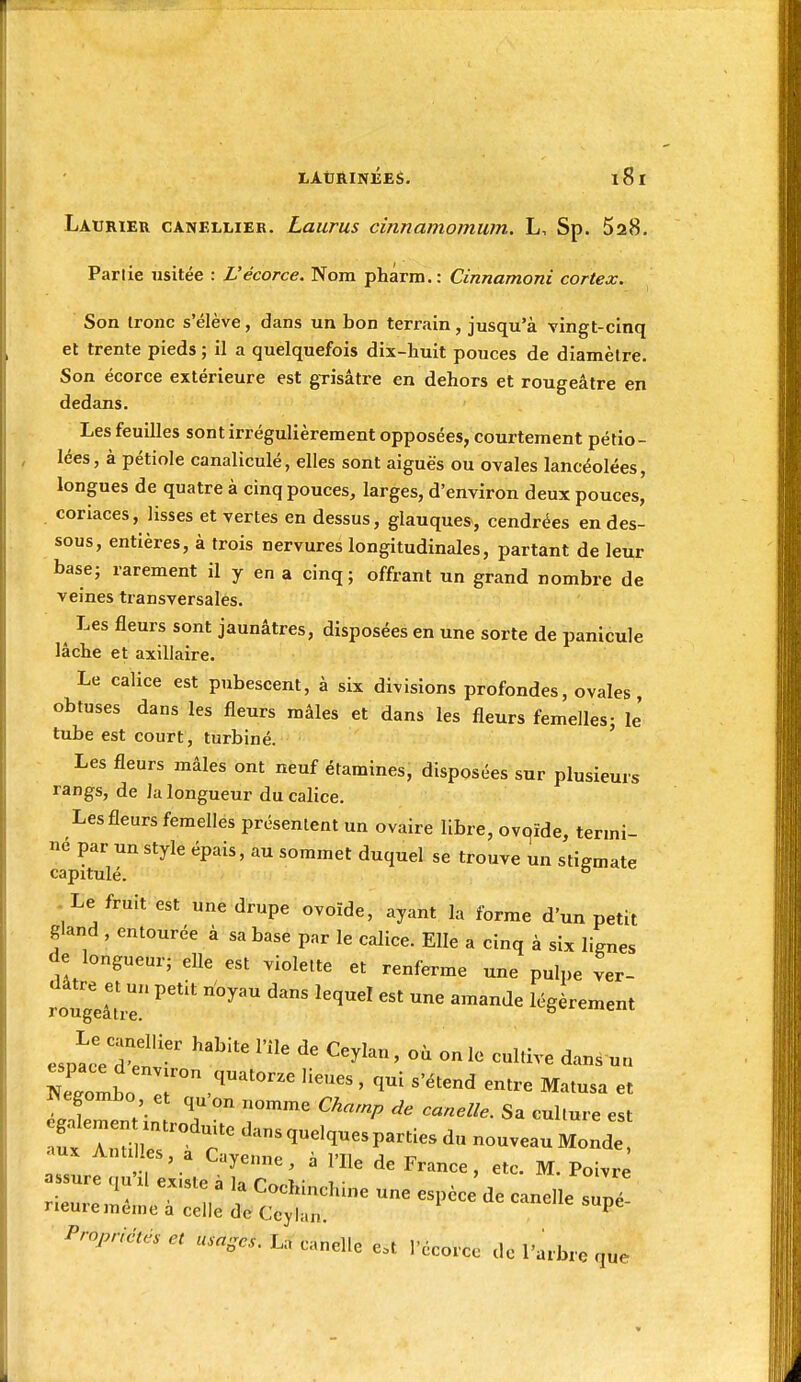 LAtJRINlJES. Laurier canellier. Laurus cinnamomum. L, Sp. SaH. Parlie usitée : L'écorce. Nom phârm. : Cinnamoni cortex. Son tronc s'élève, dans un bon terrain, jusqu'à vingt-cinq et trente pieds ; il a quelquefois dix-huit pouces de diamètre. Son écorce extérieure est grisâtre en dehors et rougeâtre en dedans. Les feuilles sont irrégulièrement opposées, courtement pétio- lées, à pétiole canaliculé, elles sont aiguës ou ovales lancéolées, longues de quatre à cinq pouces, larges, d'environ deux pouces,' coriaces, lisses et vertes en dessus, glauques, cendrées en des- sous, entières, à trois nervures longitudinales, partant de leur basej rarement il y en a cinq; offrant un grand nombre de veines transversales. ^ Les fleurs sont jaunâtres, disposées en une sorte de panicule lâche et axillaire. Le calice est pubescent, à six divisions profondes, ovales obtuses dans les fleurs mâles et dans les fleurs femelles; le' tube est court, turbiné. Les fleurs mâles ont neuf étamines, disposées sur plusieurs rangs, de la longueur du calice. Les fleurs femelles présentent un ovaire libre, ovqïde, termi- né par un style épais, au sommet duquel se trouve un stigmate capitulé.  .^Le fruit est une drupe ovoïde, ayant la forme d'un petit gland , entourée à sa base par le calice. Elle a cinq à six lignes de longueur; elle est violette et renferme une pulpe ver- rougeâtr ^^'^ '''^'^ ^ '^'^^ légèrement espa^d W ^^^'^^ ' ^^^^ - Negombo et qu'on nomme Charnp de canelle. Sa culture est Z r^'r^ '-^-^q-lquesparties du nouveau MoLe aux Antilles, a Cayenne, à l'Ile de France, etc. M. Poivre ^^'^^^ C-^--^-- une espèce de canelle sapé neuiememe a celle de Ccylan. ^ Propriétés et usages. La canelle e.t l'écorce do l'arbre que