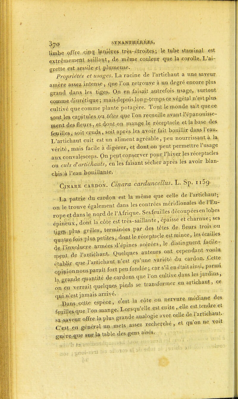 limbe offre: çipq lanières très-étroites; le tube staminal est extrêmement saillant, de môme cQJulew que la corolle. L'ai- gpette est sçssile et jilumeuse. ; Propriétés et usages. La racine de l'artichaut a ime saveur a!i\è?-,e assç^ intense, que l'on retrouve à un degré encore plus grand dans les tiges. On en faisait autrefois usage, surtout comme diurétique ; mais depuis long-temps ce végétal n'est plus cultivé que comme plante potagère. Tout le mondç sait que ce 5ont les capitules pu. que l'on recueille avant l'épanouisse- ment des fleurs, ^t dont.ofi mange le réceptacle et la base des fç^aiUes, soit cruds, soit après les avoir fait bouillir dans l'eau. L'artichaut cuit est un aliment agréable, peu nourrissant a la vérité, mais facile à digérer, et dont on peut permeltre l'usage aux convalescens. Qn peut conserver pour, l'hiver les réceptacles ou culs d'arliàhauts, en les faisant sécher après les avoir blan- ctiis à l'eau bouillanle. C^NARE CARDON. Cinura carduncelîus. L. Sp. iiSg- - La patrie du cardon est la même que celle de J'artichaut; on le trouve également dans les contrées méridionales de Eu- rope et dans le nord de l'Afrique. Ses feuilles découpées en lobes épiheux, dont la côte est très-saillante, épaisse et charnue; ses L plus grêles, terminées par des têtes de fleurs trois ou quf.ispluS,petites,dontleréceptacleestmmc^ de rinv,oii^cfe armées d'épines acérées, le distinguent facile «^fie riti^haut. Quelques auteurs ont cepen^nt vc.flu Sir que l'arXichaut. n'est qu'une yanété du cardon. Cette apt onnous parait fort peu fondée ; car s'il ,n était amsi, parmx iTi^de quantité de cardons que l'on cultive dans les jardm , a;i'rver?ait quelque pie.ls se transformer ,en a.t.chaut, ce .îum;.St jamais arrivé nervure médiane des .S^qTro^Se—^^^^ S^ei oifre la pl^ grande analogie av^C ce^ ~ ; C'est,en général ui,.^.et..assez recherche , et quon guèrft,qnp SW l?. table des gens aises.