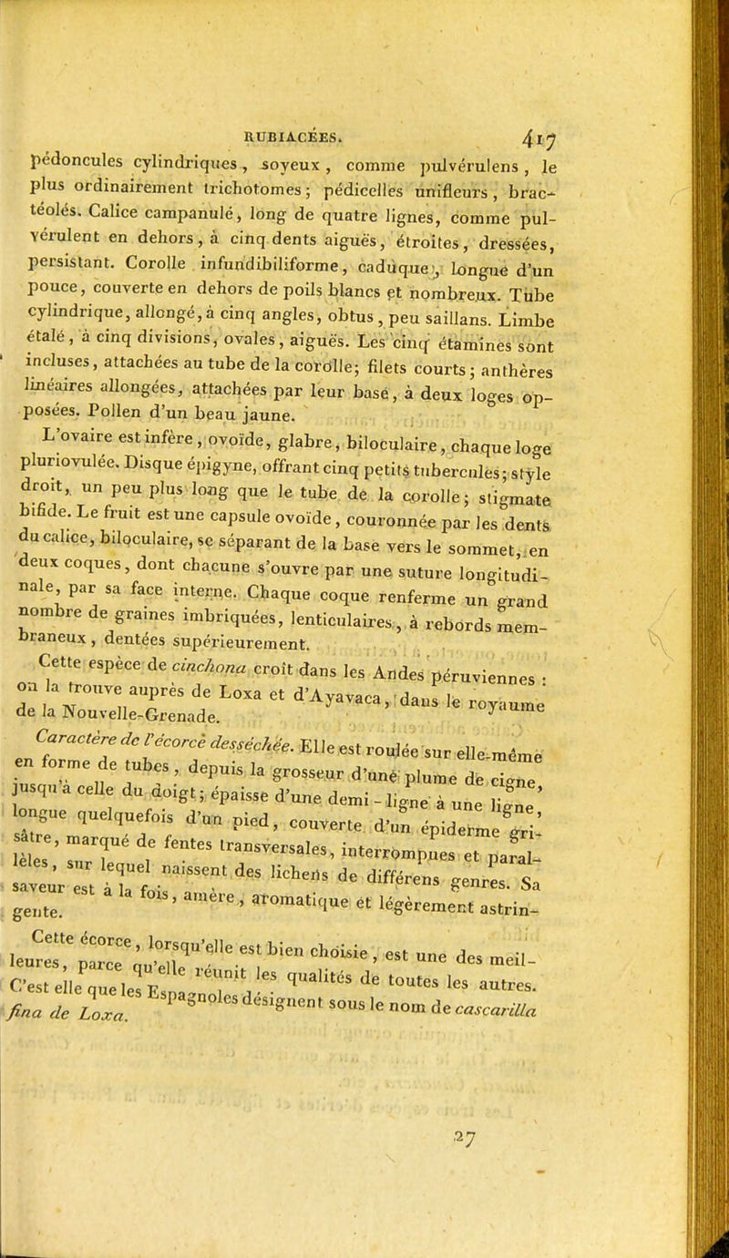 pédoncules cylindriques , moyeux , comme ptdvérulens , le plus ordinairement trichotomes; pédicelles unifleurs , brac- téolés. Calice campanule, long de quatre lignes, comme pul- Yémlent en dehors, à cinq dents aiguës, étroites, dressées, persistant. Corolle infundibiliforme, cadùquey longuê d'un pouce, couverte en dehors de poils blancs çt nombreux. Tiibe cylindrique, allongé,à cinq angles, obtus , peu saillans. Limbe étalé, à cinq divisions, ovales, aiguës. Les cinq étamines sont ' incluses, attachées au tube de la corôlle; filets courts5 anthères linéaires allongées, attachées par leur basé, à deux loges op- posées. Pollen d'un beau jaune. L'ovaire est infère , ovoïde, glabre, biloculaire, chaque loge pluriovulée. Disque épigyne, offrant cinq petits tuberc.iles - style droit, un peu plus-long que le tube de la corolle; stigmate bifade. Le fruit est une capsule ovoïde, couronnée par les dents ducahce, biloculaire, se séparant de la base vers le sommet en deux coques, dont chacune s'ouvre par une suture longitudi- nale par sa face interne. Chaque coque renferme un grand nombre de graines imbriquées, lenticulaires, à rebords mem- ûraneux, dentées supérieurement. Cette espèce éecinckona croît dans les Ande. péruviennes : oa la trouve auprès de Loxa et d'Ayavaca, ;daus lé royaume de la Nouvelle-Grenade. yaume J^c^èrec^erecorcèdesséM. Elle est roujée sur elle-même en forme de tubes, depuis la grosseur d'une;plume de cire jusqn-a cene du doigt ; épaisse d'une demi - ligL-à un^ longue quelquefois d'uu pied, couverte, d'un épideJe ' ^^e, marqué de fentes transversales, interr.mpu'e. et pafa : sa^ûr : nrtrr^ ^'^^ . gente. ' ' ^^«-^tique et légèrement astrin- ie^e:?p:::r::^r'^.^?^^ ^'^^^^ ' . C'est elleVe lerE roT.  '^''^ ^^^^ ,27