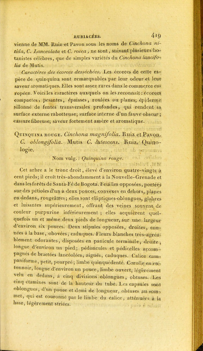 vienne de MM. Ruiz et Pavon sous les noms de Cinchona ni- tida, C. Lanceolata et C. rosea, ne sont, suivant plusieùrs bor- tanistes célèbres, que de simples variétés du Cinchona lancifo- lia de Mutis. Caractères des écorces desséchées. Les éeorces de cette es- pèce de quinquina sont remarquables par leur odeur et leuç saveur aromatiques. Elles sont assez rares dans le commerce eu- ropéen. Voici les caractères auxquels on les reconnaît : ccorefi^ compactes, pesantes, épaisses, roulées ou planes; épideritifi sillonné de fentes transversales profondes, qui rendent sa surface externe rabotteuse; surface interne d'un fauve obscur; cassure fibreuse; saveur fortement amère et aromatique. Quinquina rouge. Cinchona magnifolia. Ruiz etPavojp,, C. oblongifolia. Mutis C. tutesce/ii. Ilwizi,-' Quino- logie. ^^om vulg. : Quinquina rouge. • ■. ■.;t<)!i.o'î.?/!wr Cet arbre a le tronc droit, élevé d'environ quatre-vingts ^ cent pieds; il croît très-abondamment à la Nouvelle-Grenade et dans les forêts de Santa-Fé de Bogota. Feuilles opposées, portées sur des pétioles d'un à deux ppuces, convexes en dehors, plapes çn dedans, rougeâtres; elles sont elliptiques-oblongues, glabres et luisantes supérieurement, offrant des veines soijveitt de couleur purpurine inférieurement ; elles acquièrent quel- quefois un et même deux pieds de longueur, sur une. largeur d'environ six pouces. Deux stipules opposées, droites, con- nées à la base, obovées, caduques. Fleurs Planches très-agréà- blement odorantes, disposées en panicule terminale, drdite^ longue d'environ un pied ; pédoncules et pédicelles accom- pagnés de bractées lancéolées, aiguës, caduques. Calice cuum paniforme, petit, pourpré; limbe quinquédenté. Corolle;en iea^ tonnoir, longue d'environ un pouce, limbe ouvert, légèrement velu en dedans, à cinq divisions oblongues, obtuses. .L«s cinq étamines sont de la hauteur du tubé. Les capssùles soin oblongues, d'un pouoe et demi de longueur, obtuses nom- met, qui est couronné parle limbe du calice, attéiiunîes à la base, légèrement striées. , . .,