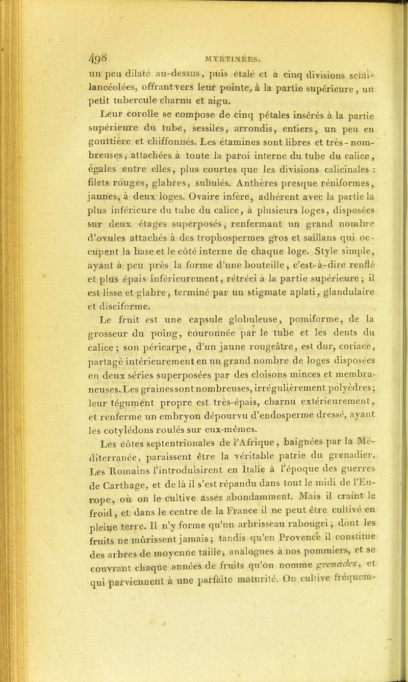 un peu dilate au-dessus, puis étalé et à cinq divisions scWi- lancéolées, offrant vers leur pointe, à la partie supérieure, un petit tubercule charnu et aigu. Leur corolle se com|)ose de cinq pétales insérés à la partie supérieure du tube, sessiles, arrondis, entiers, un peu en gouttière et chiffoniiés. Les étamines sont libres et très-nom- breuses , attachées à toute la paroi interne du tube du calice, égales entre elles, plus courtes que les divisions calicinales : filets rouges, glabres, subulés. Anthèi'es presque réniformes, jaunes, à deux; loges. Ovaire infère, adhérent avec la partie la plus inférieure du tube du calice, à plusieurs loges, disposées sur deux étages superposés, renfermant un grand nombre d'ovules attachés à des trophospermes gros et saillans qui oc- cupent la base et le côté interne de chaque loge. Style simple, ayant à: peu près la forme d'une bouteille, c'est-à-dire renflé et plijâ épais inférieurement, rétréci à la partie supérieure; il est lisse et glabre, terminé par un stigmate aplati, glandulaire et disciforme. Le fruit est une capsule globuleuse, pomiforme, de la grosseur du poing, couroùnée pat le tube et les dents du calice ; son péricarpe, d'un jaune rougeâtre, est dur, coriace, partagé intérieurement en un grand nombre de loges disposées en deux séries superposées par des cloisons minces et membra- neuses. Les grainessont nombreuses, irrégulièrement polyèdres; leur tégument propre est très-épais, charnu extérieurement, et renferme un embryon dépourvu d'endospernie dressé, ayant les cotylédons roulés sur eux-mêmes. Lés côtes septentrionales de l'Afrique , baignées par la Mé- diterranée, paraissent être la véritable patrie du grenadier. Les Romains l'introduisirent en Italie à l'époque des guerres de Carthage, et de là il s'est répandu dans tout le midi de l'Eu- ro])e, où on le cultive assez abondamment. Mais il craint le froid, et dans le centre de la France il ne peut être cultivé en pleine terre. Il n'y forme qu'un arbrisseau rabougri, dont les fruits ne mûrissent jamais; tandis qu'en Provence il constitue des arbres de moyenne taille, analogues à nos pommiers, et se couvrant cliaquc années de fruits qu'on nomme grenades, et qui parviennent à une parfaite maturilé. On cultive fréquem-