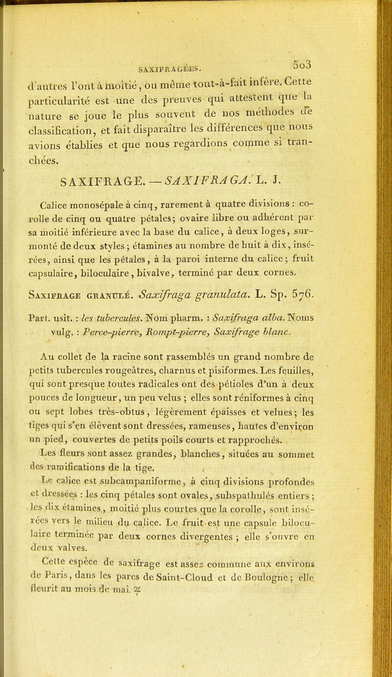 SAXIFRAGÉliS. ^^^ d'autres l'ont à moitié, ou même tout-à-fait infère. Cette particularité est une des preuves qui attestent que la nature se joue le plus souvent de nos méthodes de classification, et fait disparaître les différences que nous avions établies et que nous regardions comme si tran- chées. SAXIFRAGE, —SJXJFRJGJ. L. J. Calice monosépale à cinq, rarement à quatre divisions : co- rolle de cinq ou quatre pétales; ovaire libre ou adhérent par sa moitié inférieure avec la base du calice, à deux loges, sur- monté de deux styles ; étamines au nombre de huit à dix, insé- rées, ainsi que les pétales, à la paroi interne du calice; fruit capsulaire, biloculaire, bivalve, terminé par deux cornes. Saxifrage GRANtTLE. Saxifraga granulata. L. Sp. 676. Part. usit. : les tubercules. Nom pbarm. : Saxifraga «^è<3. Noms vulg. : Perce-pierre, Rompt-pierre, Saxifrage blanc. Au collet de la racine sont rassemblés un grand nombre de petits tubercules rougeâtres, charnus et pisiformes. Les feuilles, qui sont presque toutes radicales ont des pétioles d'un à deux pouces de longueur, un peu velus ; elles sont réniformes à cinq ou sept lobes très-obtus, légèrement épaisses et velues; les tiges qui s'en élèvent sont dressées, rameuses, hautes d'environ un pied, couvertes de petits poils courts et rapprochés. Les fleurs sont assez grandes, blanches, situées au sommet des,ramifications de la tige. Le calice est jsubcampaniforme, à cinq divisions profondes et dressées : les cinq pétales sont ovales, subspathulés entiers ; les dix étamines , moitié plus courtes que la corolle, sont insé- rées vers le milieu du calice. Le fruit est une capsule bilocu- laire terminée par deux cornes divergentes ; elle s'ouvre en deux valves. Cette espèce de saxifrage est assez commune aux environs de Paris, dans les parcs deSaint-Cloud et de Boulogne; elle fleurit au mois de mai. if