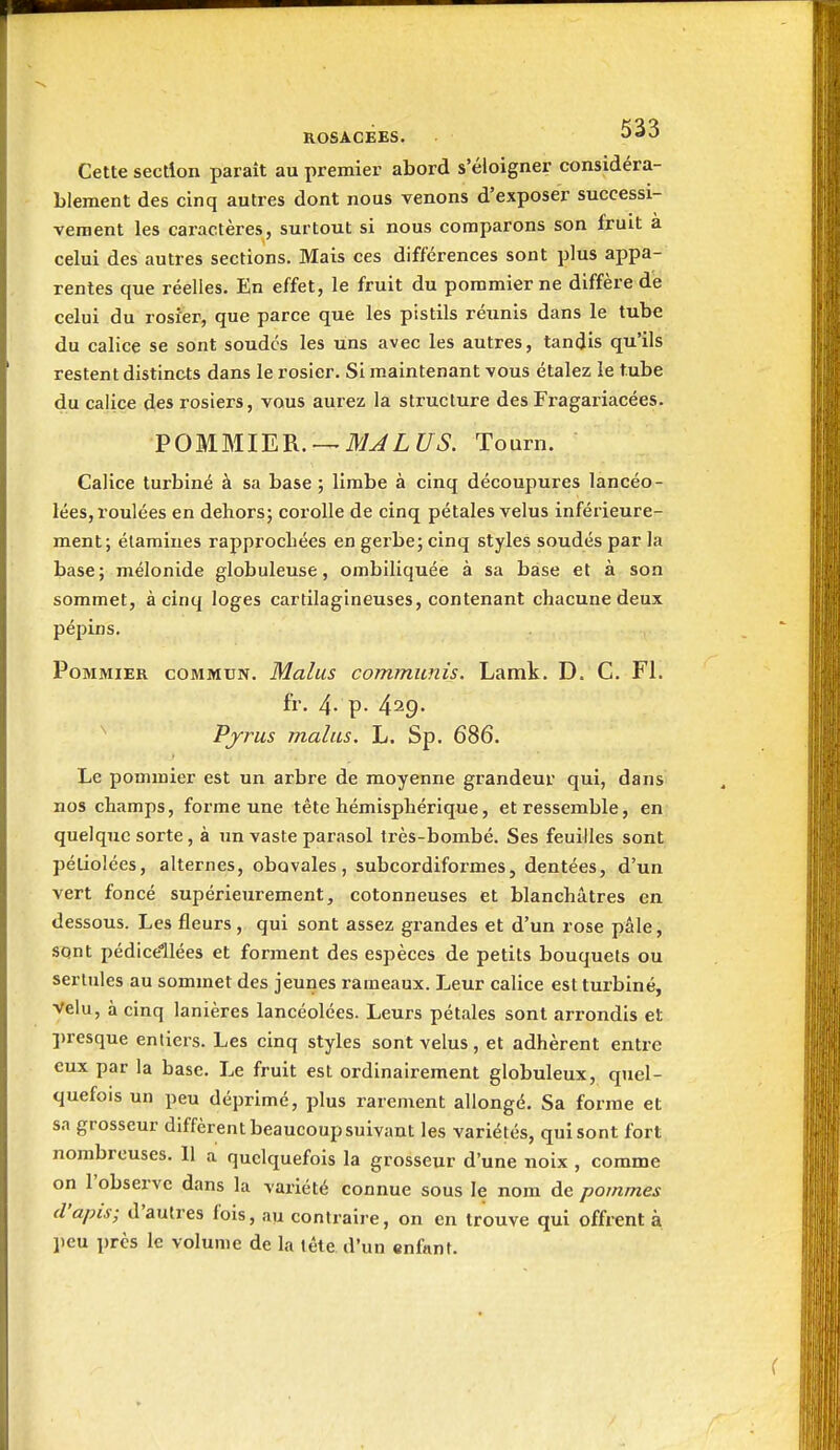 Cette section paraît au premier abord s'éloigner considéra- blement des cinq autres dont nous venons d'exposer successi- vement les caractères, surtout si nous comparons son fruit a celui des autres sections. Mais ces différences sont plus appa- rentes que réelles. En effet, le fruit du pommier ne diffère dé celui du rosier, que parce que les pistils réunis dans le tube du calice se sont soudes les uns avec les autres, tandis qu'ils restent distincts dans le rosier. Si maintenant vous étalez le tube du calice des rosiers, vous aurez la structure des Fragariacées. VOmiSllJLB..-^MJLUS. Tourn. Calice turbiné à sa base ; limbe à cinq découpures lancéo- lées, roulées en dehors; corolle de cinq pétales velus inférieure- ment; élamines rapprochées en gerbe; cinq styles soudés par la base; mélonide globuleuse, ombiliquée à sa base et à son sommet, à cinq loges cartilagineuses, contenant chacune deux pépins. Pommier commun. Malus communis. Lamk. D. C. FI. fr. 4. p. 429. P/rus malus, L. Sp. 686. Le pommier est un arbre de moyenne grandeur qui, dans nos champs, forme une tête hémisphérique, et ressemble, en quelque sorte, à un vaste parasol très-bombé. Ses feuilles sont péliolées, alternes, obovales, subcordiformes, dentées, d'un vert foncé supérieurement, cotonneuses et blanchâtres en dessous. Les fleurs, qui sont assez grandes et d'un rose pâle, SQnt pédicellées et forment des espèces de petits bouquets ou sertules au sommet des jeunes rameaux. Leur calice est turbiné, Velu, à cinq lanières lancéolées. Leurs pétales sont arrondis et presque entiers. Les cinq styles sont velus, et adhèrent entre eux par la base. Le fruit est ordinairement globuleux, quel- quefois un peu déprimé, plus rarement allongé. Sa forme et sa grosseur diffèrent beaucoup suivant les variétés, qui sont fort nombreuses. 11 a quelquefois la grosseur d'une noix , comme on l'observe dans la variété connue sous le nom de pommes d'apis; d'autres fois, au contraire, on en trouve qui offrent à jieu près le volume de la tête d'un «nfant.