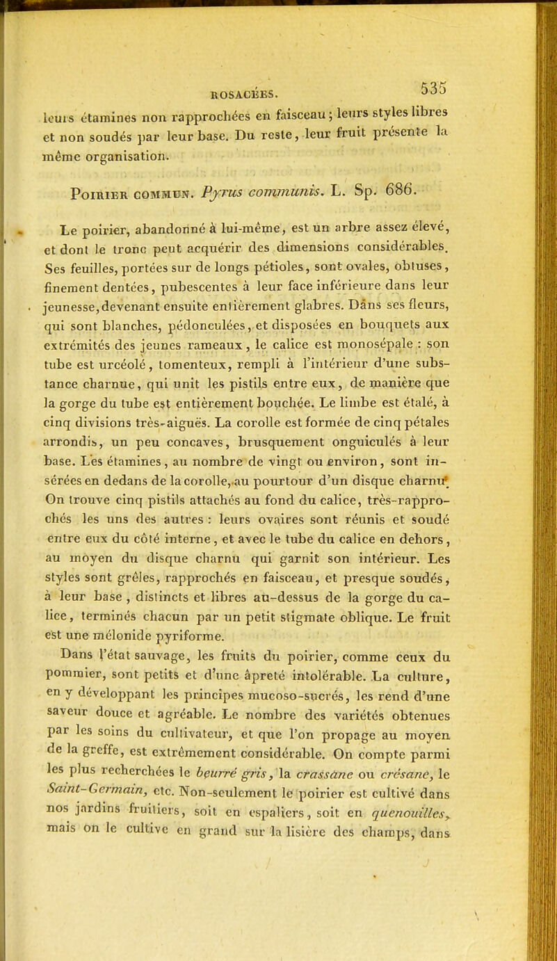 louis étaraines non rapprochées en faisceau ; leurs styles libres et non soudés jiar leur base. Du reste, leur fruit présente la même organisation. PomiER COMMUN. Pfrus communis. L. Sp. 686. Le poirier, abandonné à lui-mêrae, est un arbre assez élevé, et dont le tronc peut acquérir, des dimensions considérables. Ses feuilles, portées sur de longs pétioles, sont ovales, obtuses, finement dentées, pubescentes à leur face inférieure dans leur jeunesse,devenant ensuite enlièrement glabres. Dans ses fleurs, qui sont blanches, pédonculées, et disposées en bouquets aux extrémités des jeunes rameaux, le calice est monosépale : son tube est urcéolé , tomenteux, rempli à l'intérieur d'une subs- tance charnue, qui unit les pistils entre eux, de manière que la gorge du tube est entièrement bouchée. Le limbe est étalé, à cinq divisions très-aiguës. La corolle est formée de cinq pétales arrondis, un peu concaves, brusquement onguiculés à leur base. Les étamines , au nombre de vingt ou finviron, sont in- sérées en dedans de lacorolle,.au pourtour d'un disque charnif On trouve cinq pistils attachés au fond du calice, très-rappro- chés les uns des autres : leurs ovf^ires sont réunis et soudé entre eux du côté interne, et avec le tube du calice en dehors, au moyen du disque charnu qui garnit son intérieur. Les styles sont grêles, rapprochés en faisceau, et presque soudés, à leur base , distincts et libres an-dessus de la gorge du ca- lice , terminés chacun par un petit stigmate oblique. Le fruit est une mélonide pyriforme. Dans l'état sauvage, les fruits du poirier, comme ceuix du pommier, sont petits et d'une âpreté intolérable. La culture, en y développant les principes mucoso-sucrés, les rend d'une saveur douce et agréable. Le nombre des variétés obtenues par les soins du cultivateur, et que l'on propage au moyen de la greffe, est extrêmement considérable. On compte parmi les plus recherchées le bçurré gris, la. crassàne ou crésane, le Saint-Germain, etc. Non-seulement le poirier est cultivé dans nos jardins fruitiers, soit en espaliers, soit en quenouilles^ mais on le cultive en grand sur la lisière des champs, dans