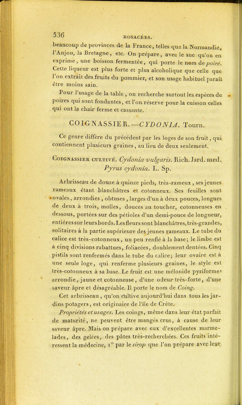 beaucoup de provinces de la France, telles que la Nonnandîe, l'Anjou, la Bretagne, etc. On prépare, avec le suc qu'où en exprime, une boisson fermentée, qui porte le nom poiré. Cette liqueur est plus forte et plus alcohollque que celle que l'on extrait des fruits du pommier, et son usage habituel paraît êti'e moins sain. Pour l'usage de la table , on recherche surtout les espèces de poires qui sont fondantes, et l'ou réserve pour la cuisson celles qui ont la chair ferme et cassante. GOIONASSIER.—CraOiV/^. T ourn. Ce genre diffère du précédent par les loges de son fruit, qui. contiennent plusieurs graines, au lieu de deux seulement. CoiGNAssiER CULTIVÉ. Cjdonia 'vulgaris. Rich. Jard. med. Pfrus cjdonia. L. Sp. Arbrisseau de douze à quinze pieds, très-raraeux , ses jeunes rameaux étant blanchâtres et cotonneux. Ses feuilles sont » ovales, ai-rondies , obtuses , larges d'un à deux pouces, longues de deux à trois, molles, douces au toucher, cotonneuses en dessous, portées sur des pétioles d'un demi-pouce de longueur, entières sur leursbords. Les fleurs sont blanchâtres, très-grandes, solitaires à la partie supérieure des jeunes rameaux. Le tube du calice est très-cotonneux, un peu renflé à la base; le limbe est à cinq divisions rabattues, foliacées, doublement dentées. Cinq pistils sont renfermés dans le tube du calice; leur ovaire est à une seule loge, qui renferme plusieurs graines, le style est très-cotonneux à sa base. Le fruit est une mélonide pyriforme' arrondie, jaune et cotonneuse, d'une odeur très-forte, d'une saveur âpre et désagréable. II porte le nom de Coing. Cet arbrisseau, qu'on chltive aujourd'hui dans tous les jar- dins potagers, est originaire de Tîle de Ciète. Propriétés et usages. Les coings, même dans leur état parfait de maturité, ne peuvent être mangés crus, à cause de leur saveur âpre. Mais on prépare avec eux d'excellentes marme- lades, des gelées, des pâtes très-recherchées. Ces fruits inté- ressent la médecine, i par le sirop que l'on prépare avec le.îjr