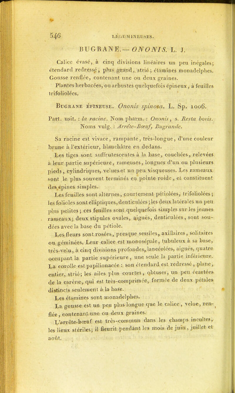 f)46 I.Kf;BMlNEUSlîS. BVGRAl^E.— ONONIS. L. J. Calice évasé, à cinq divisions linéaires un peu inégales; étendard redressé, phis ^artà, strié; élamines monadelphes. Gousse renflée, contenant une ou deux graines. Plantes herbacées, ou arbustes quelquefois épineux, à feuilles Irifoliolées, BcGRANE ÉPïNEusE. Onojiis spinosa. L. Sp. 1006. Part. usit. : la racine. Nom pharm. : Ononis ^ s. Resta bovis. Noms vulg. : Arrête-Bœuf, Bugrande. Sa racine est vivace, rampante, très-longue, d'une couleur brune à l'extérieur, blancliâtre en dedans. Les tiges sont suffrutescenles à la base, couchées, relevées à leur partie supérieure, rameiuses, longues d'un ou plusieurs pieds, cylindriques, velues et un peu visqueuses. Les rameaux sont le plus souvent terminés en pointe roide, et constituent des.épines simples. Les feuilles sont alternes, çourleraent pétioléesj trifoliolées; les folioles sont elEpliques,denticaléesJ les deux latérales un peu pl.us petites ; ces feuilles sont quelquefois simjiles sur les jeunes rameaux; deux stipules ovales, aiguës, denticulées, sont sou- dées avec la base du pétiole. LeS;fleurs sont rosées, presque sessiles, axillaires , solitaires ou .géminées. Leur calice est monosépale, lubuleux à sa base, trè5:-v:el,i*, à cinq divisions profondes,Jancéolées, aiguës, quatre occupant la partie supérieure, une seule la partie inférieure. La corolle est papilionacée : son étendard est redressé , plane, entier, strié; les ailes plus courtes, obtuses, un peu écat-tées de la carène, qui est très-comprimée> formée de deux pétales disttincljs seulement à la base. I.,es élimines sont monadelplies. La gousse est un peu plus longue que le calice , velue, ren-^ fléc, contenant une ou d,<;ux graines. ];.'arrêterbœuf est très-commun dans les champs inculles, les lieiLx stériles; il fleurit pendânii le» mois, de juin , juillet et août.