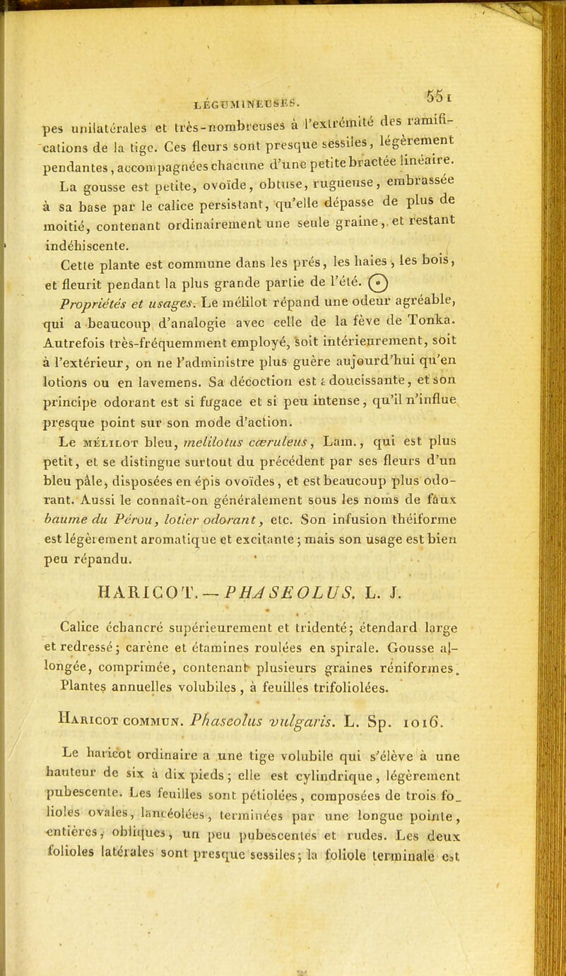 LÉGOUNIiBSliS. ^'^^ pes unilatérales et très-nombreuses à l'exlrémité des ramifi- cations de la tige. Ces fleurs sont presque sessiles, légèrement pendantes, accompagnées chacune d'une petite bractée linéaire. La gousse est petite, ovoïde, obtuse, rugueuse, embrassée à sa base par le calice persistant, qu'elle dépasse de plus de moitié, contenant ordinairement une seule graine,. et restant indéhiscente. Cette plante est commune dans les prés, les haies , les bois, et fleurit pendant la plus grande partie de l'été. Q Propriétés et usagesvhe mélilol répand une odeur agréable, qui a beaucoup d'analogie avec celle de la fève de Tonka. Autrefois très-fréquemment employé, ^olt intérieurement, soit à l'extérieur, on ne l'administre plus guère aujourd'hui qu'en lotions ou en lavemens. Sa décoction est i doucissante, et son principe odorant est si fugace et si peu intense, qu'il n'influe presque point sur son mode d'action. Le MÉLiLOT bleu, melilotus cœruleus, Lam., qui est plus petit, et se distingue surtout du précédent par ses fleurs d'un bleu pâle, disposées en épis ovoïdes, et est beaucoup plus odo- rant. Aussi le connait-ou généralement sous les noms de fàux baume du Pérou, lotier odorant, etc. Son infusion théiforme est légèrement aromatique et excitante ; mais son usage est bien peu répandu. \ih.KiQO'Y.-~PHJSEOLUS. L. J. Calice échancré supérieurement et tridenté; étendard large et redressé ; carène et étamines roulées en spirale. Gousse al- longée, comprimée, contenant- plusieurs graines réniformes. Plantes annuelles volublles , à feuilles trifoliolées. ^J^D^icoTi conn-on. Phaseohis vulgaris. L. Sp. 1016. Le haricot ordinaire a une tige volubile qui s'élève à une hauteur de six à dix pieds ; elle est cylindrique, légèrement pubescenle. Les feuilles sont pétiolées, composées de trois fo_ lioles ovales, lancéolées, terminées par une longue pointe, entières, obliques, un peu pubescenles et rudes. Les deux folioles latérales sont presque sessiles; la foliole lemiinale est