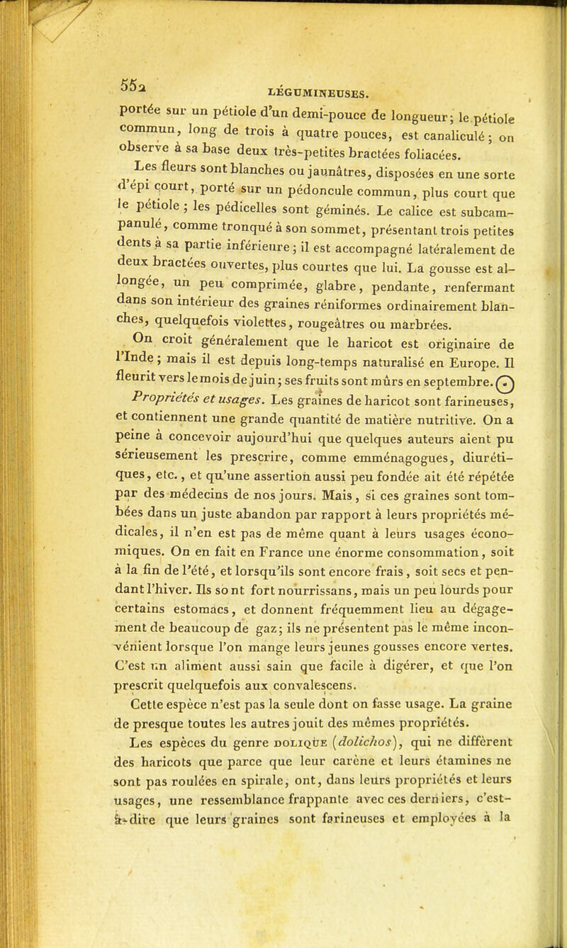 I-EGIJMINEUSES. portée sur un pétiole d'un demi-pouce de longueur; le pétiole commun, long de trois à quatre pouces, est canaliculé ; on observe à sa base deux très-petites bractées foliacées. ^ Les fleurs sont blanches ou jaunâtres, disposées en une sorte d'épi çourt, porté sur un pédoncule commun, plus court que le pétiole ; les pédicelles sont géminés. Le calice est subcam- panulé, comme tronqué à son sommet, présentant trois petites dents à sa partie inférieure ; il est accompagné latéralement de deux bractées ouvertes, plus courtes que lui. La gousse est al- longée, un peu comprimée, glabre, pendante, renfermant dans son intérieur des graines réniformes ordinairement blan- ches, quelquefois violettes, rougeâtres ou marbrées. On croit généralement que le haricot est originaire de l'Inde ; mais il est depuis long-temps naturalisé en Europe. Il fleurit vers lemois de juin ; ses fruits sont mûrs en septembre. 0 Propriétés et usages. Les graines de haricot sont farineuses, et contiennent une grande quantité de matière nutritire. On a peine à concevoir aujourd'hui que quelques auteurs aient pu sérieusement les prescrire, comme emménagogues, diuréti- ques, etc., et qu'une assertion aussi peu fondée ait été répétée par des médecins de nos jours. Mais, si ces graines sont tom- bées dans un juste abandon par rapport à leurs propriétés mé- dicales, il n'en est pas de même quant à leurs usages écono- miques. On en fait en France une énorme consommation, soit à la fin de l'été, et lorsqu'ils sont encore frais , soit secs et pen- dant l'hiver. Ils so nt fort nourrissans, mais un peu lourds pour certains estomacs, et donnent fréquemment lieu au dégage- ment de beaucoup de gaz; ils ne présentent pas le même incon- vénient lorsque l'on mange leurs jeunes gousses encore vertes. C'est i;n aliment aussi sain que facile à digérer, et que l'on prescrit quelquefois aux convalescens. Cette espèce n'est pas la seule dont on fasse usage. La graine de presque toutes les autres jouit des mêmes propriétés. Les espèces du genre noLiQtiE (dolichos), qui ne diffèrent des haricots que parce que leur carène et leurs étamines ne sont pas roulées en spirale, ont, dans leurs propriétés et leurs usages, une ressemblance frappante avec ces derniers, c'est- à»-dire que leurs graines sont farineuses et employées à la